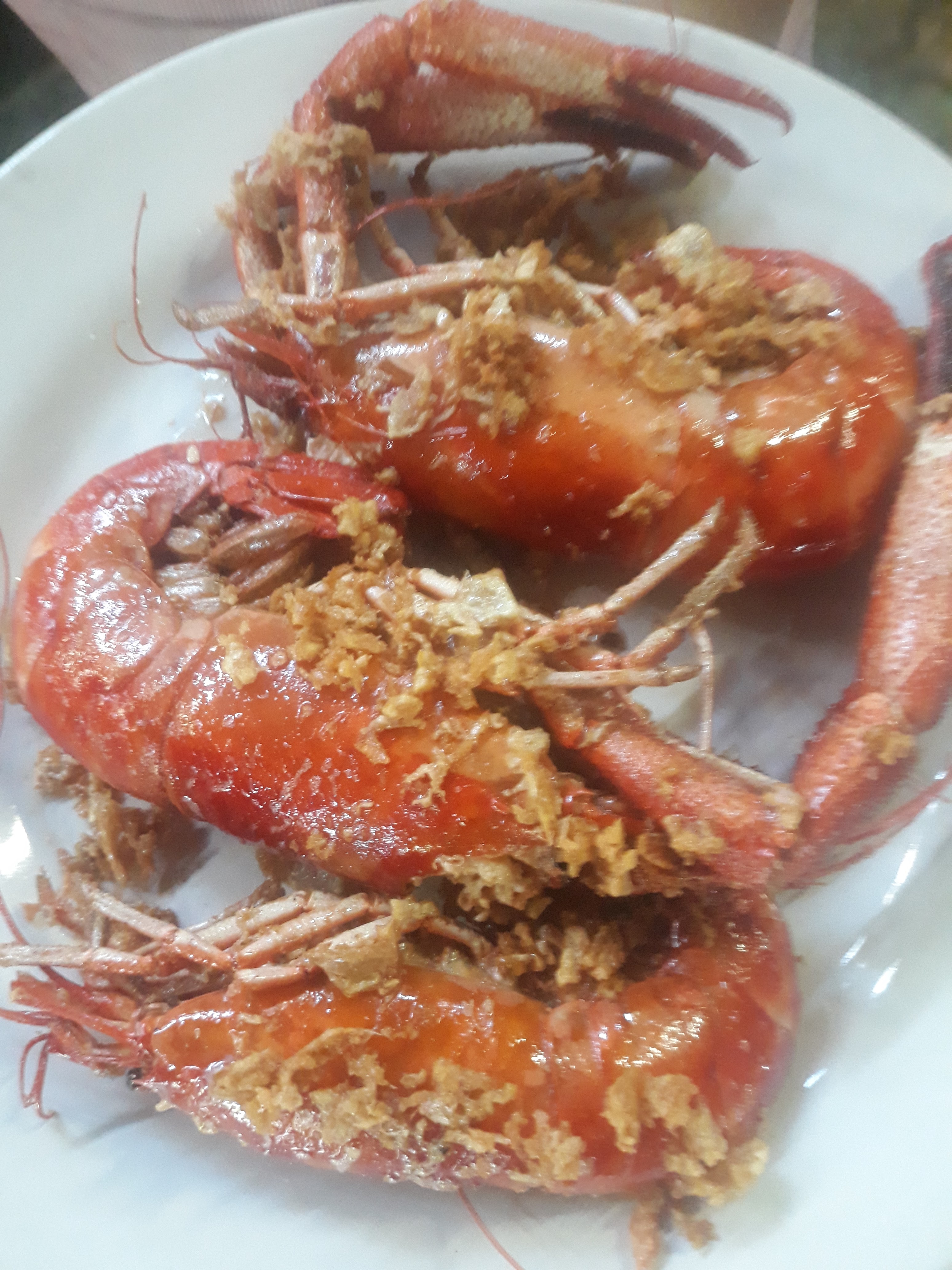 La palapa El Vado image 2