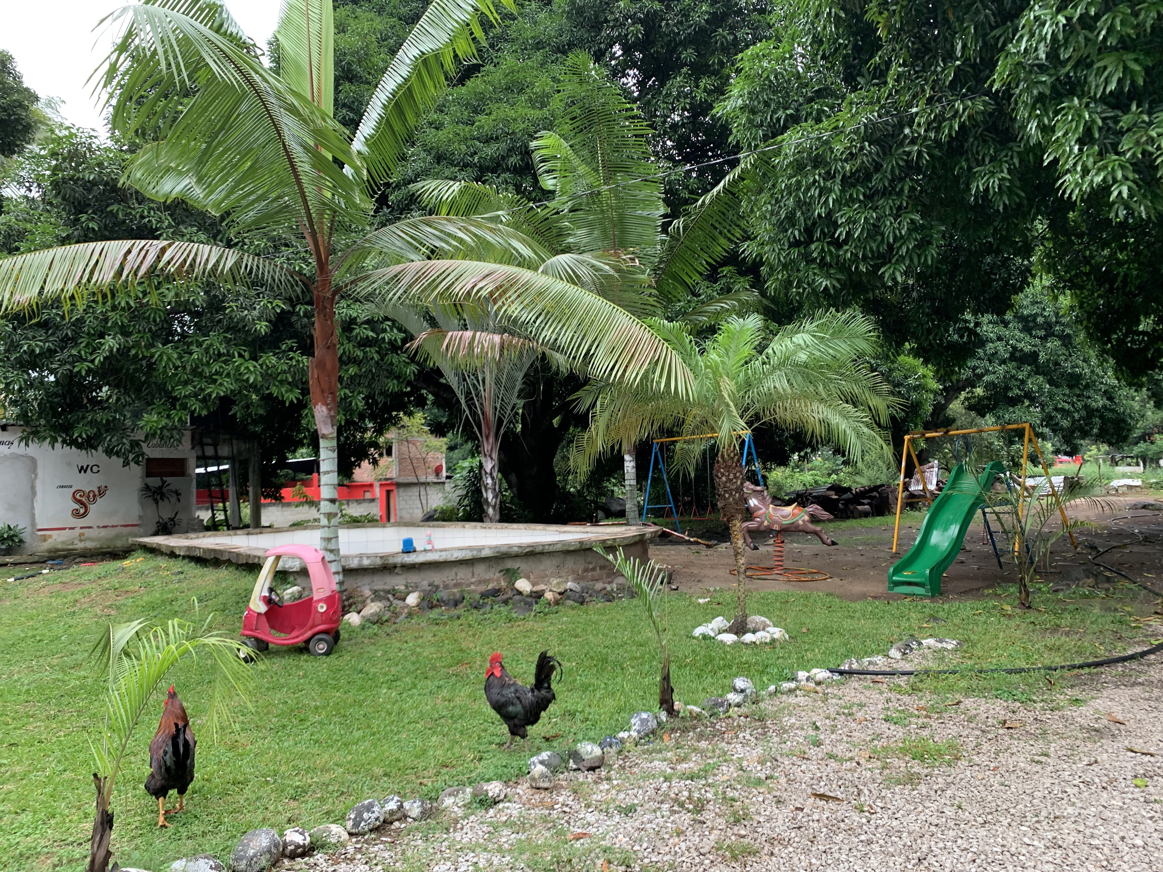 La palapa El Vado image 3