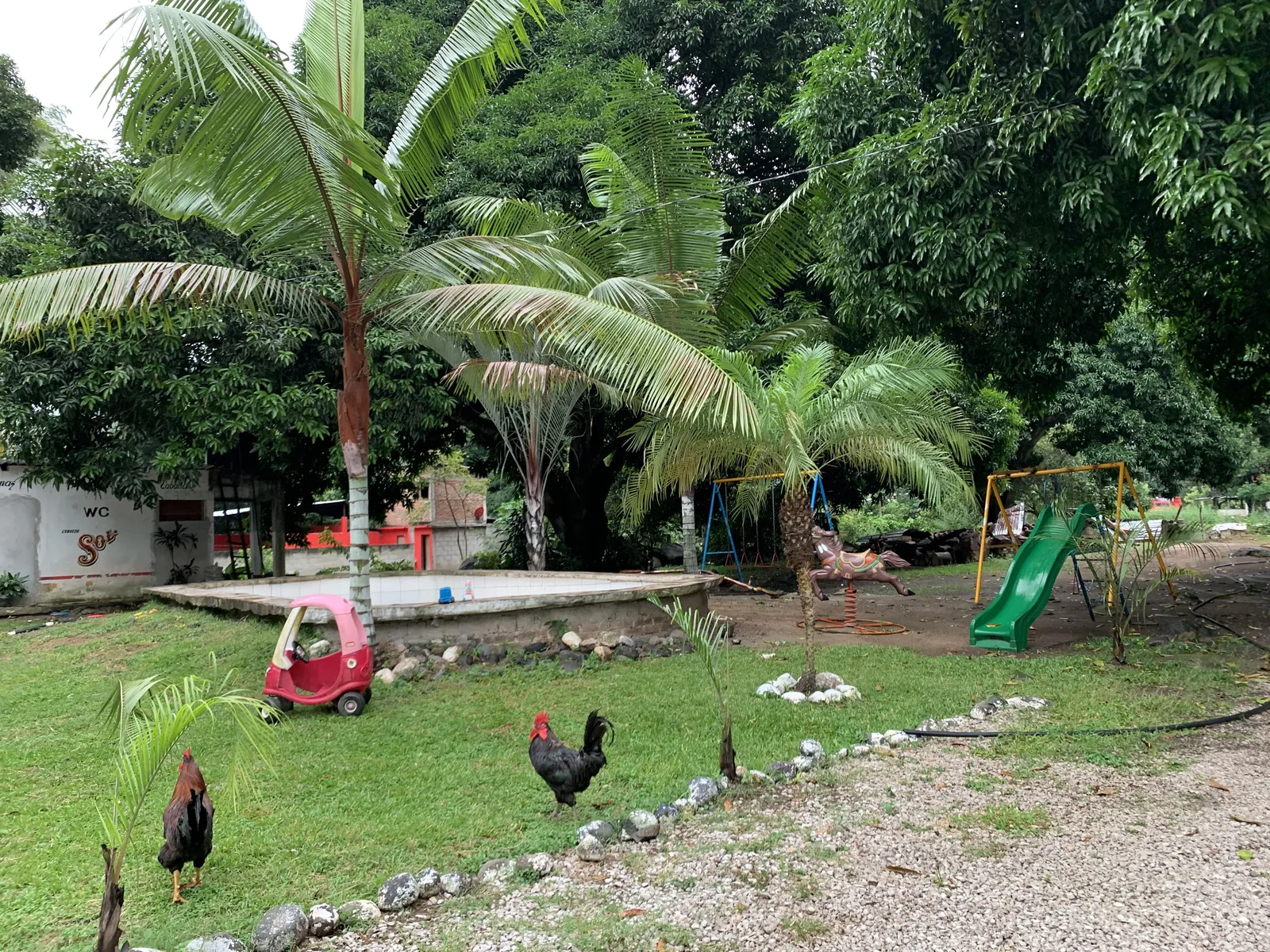 La palapa El Vado image 3