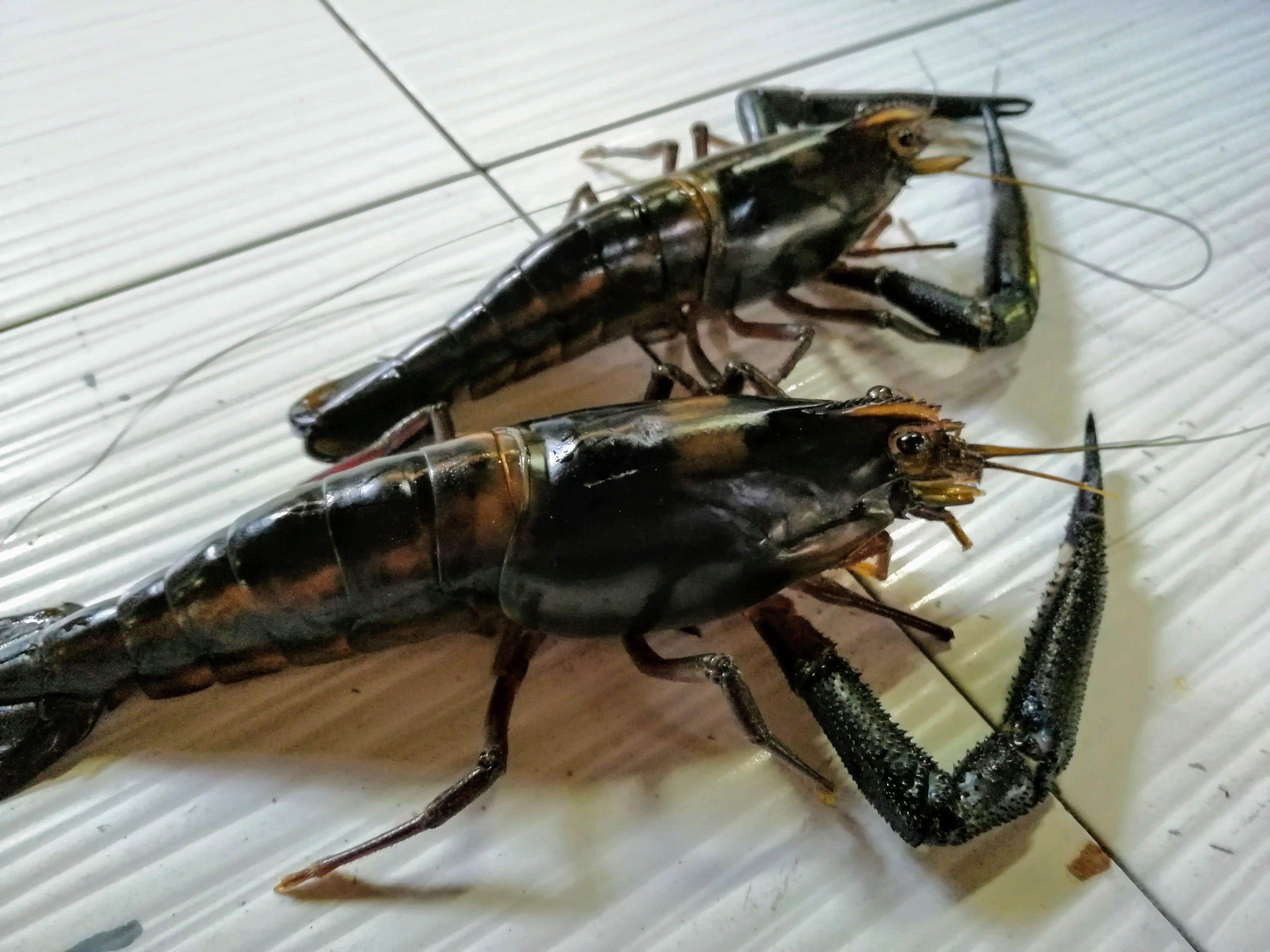 La palapa El Vado image 8