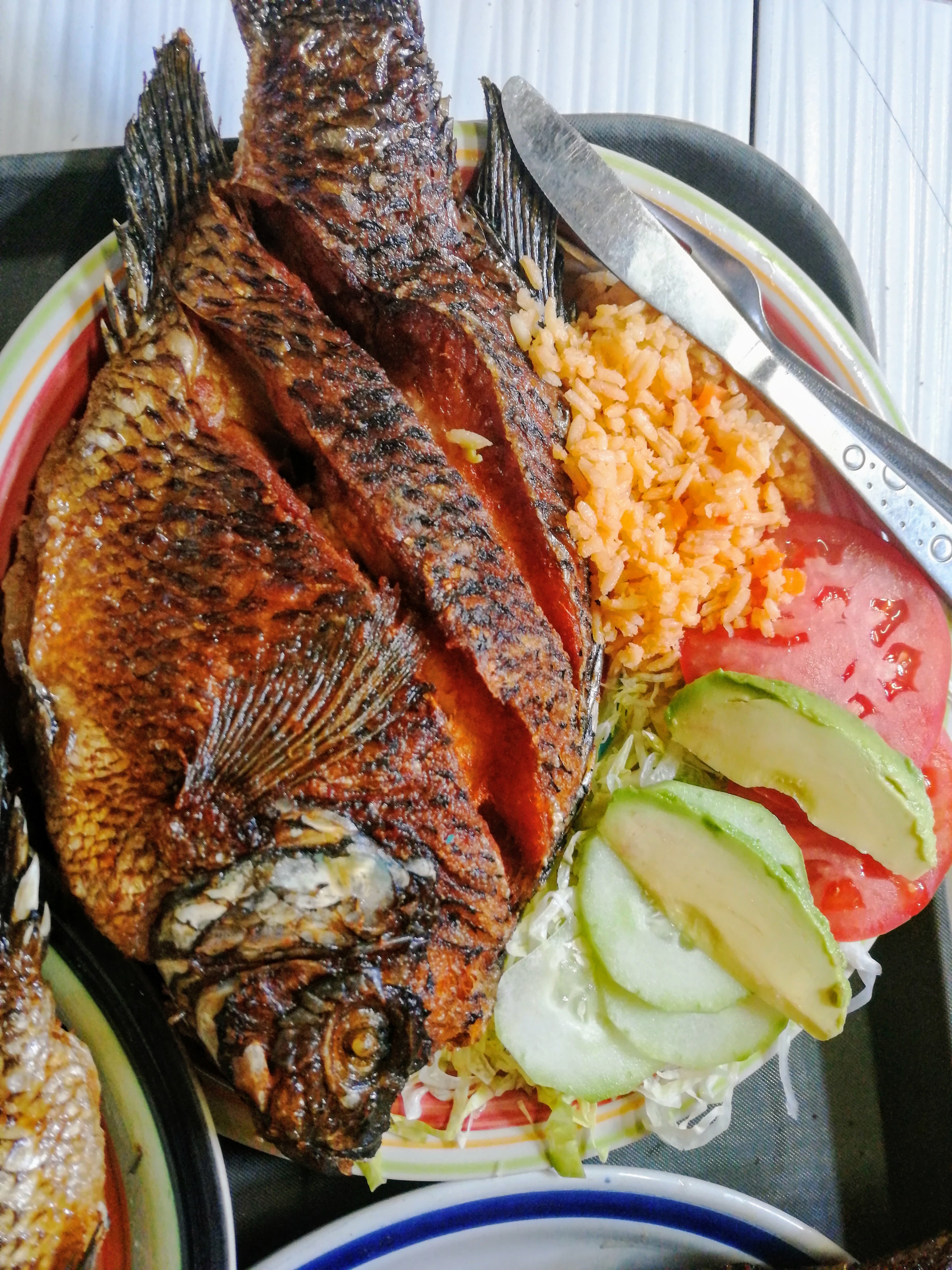 La palapa El Vado image 9