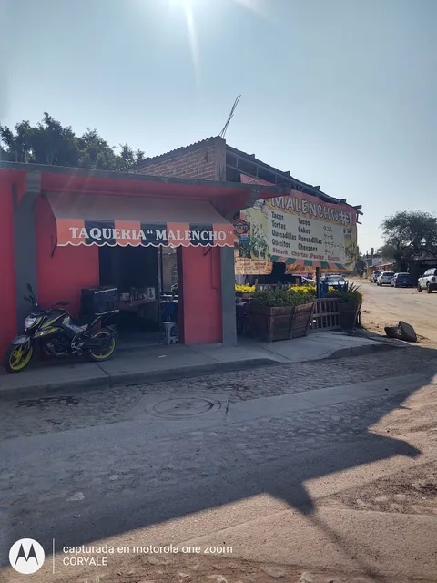 Taqueria MALENCHO #1 image 3