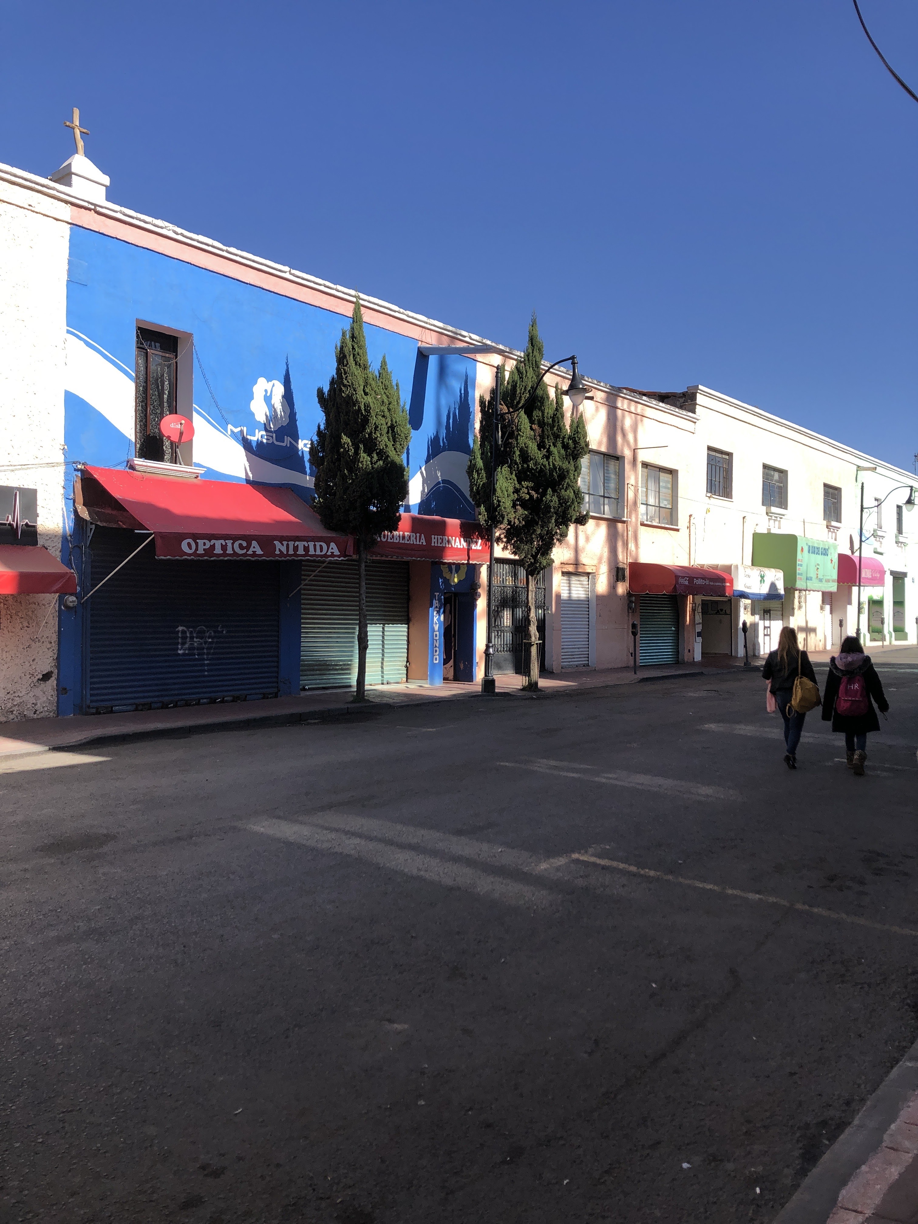 Pollito - Ix image 4