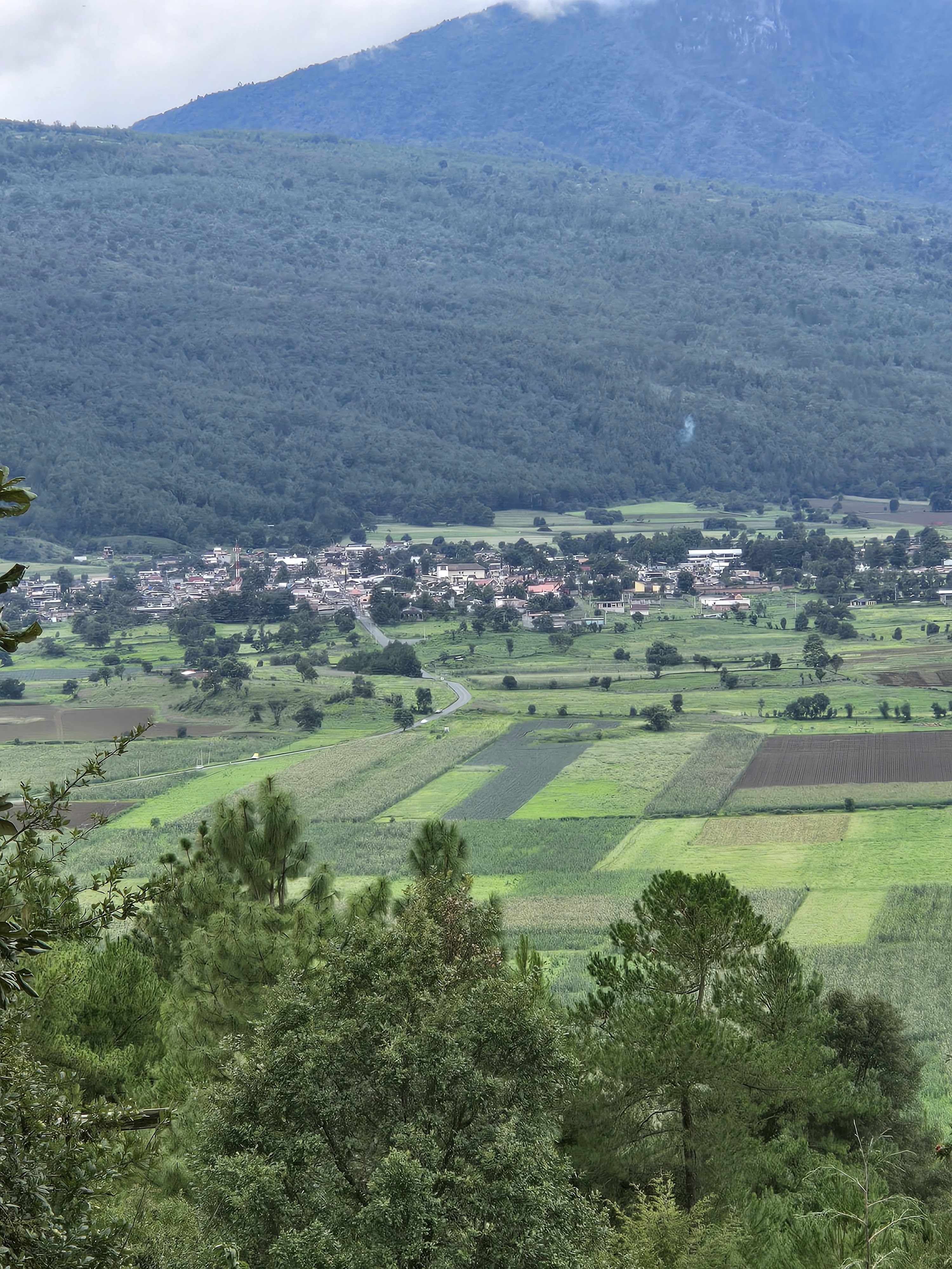 Cocina Economica Uanamukuni image 3