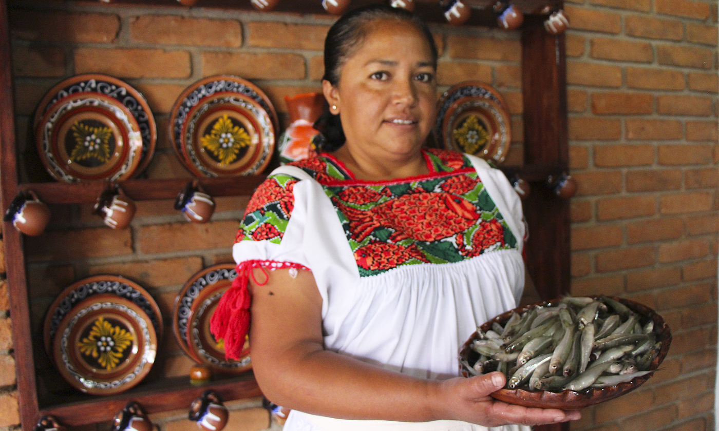 Cocina tradicional Martha García image 1