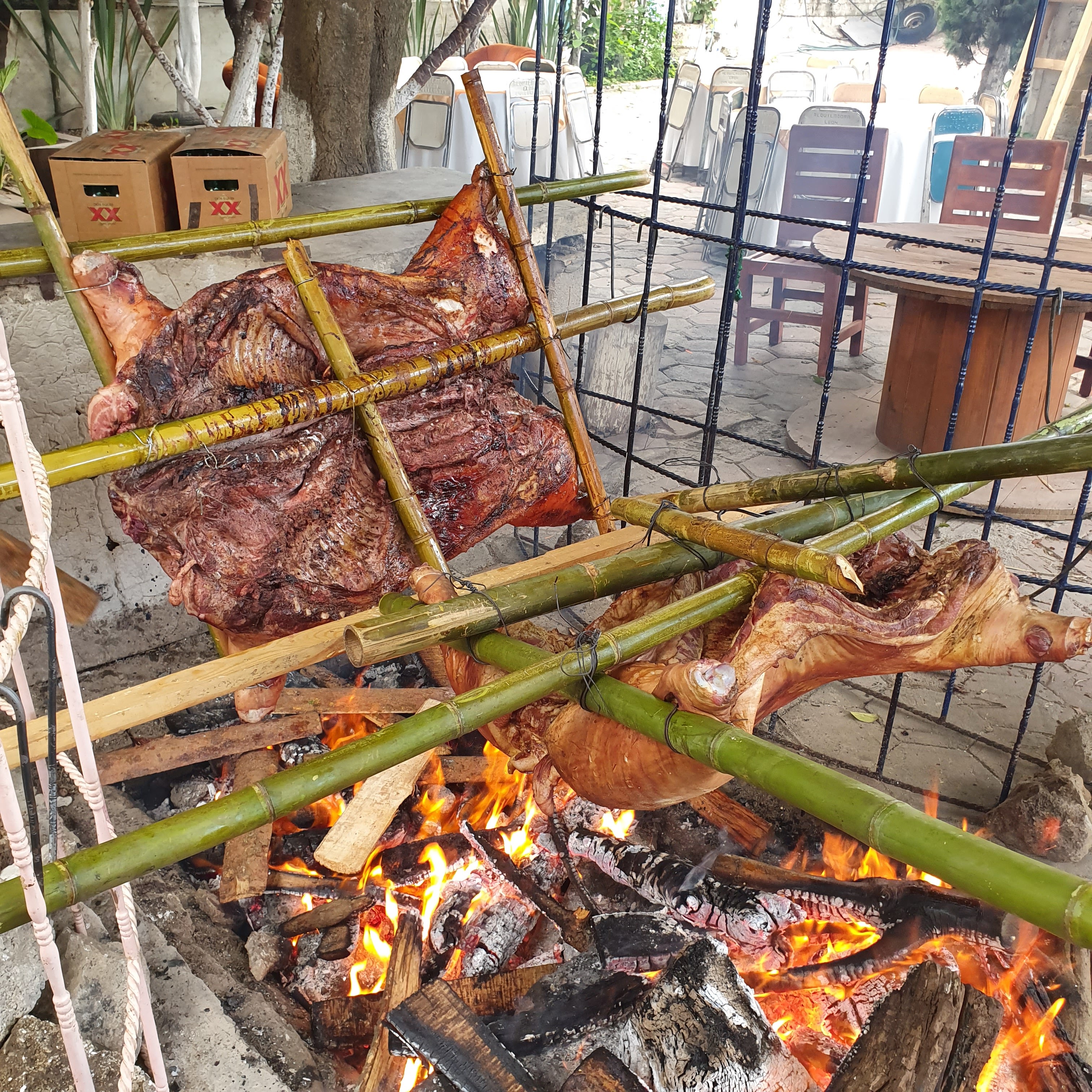 CRUDELIA DE DON JITO image 3