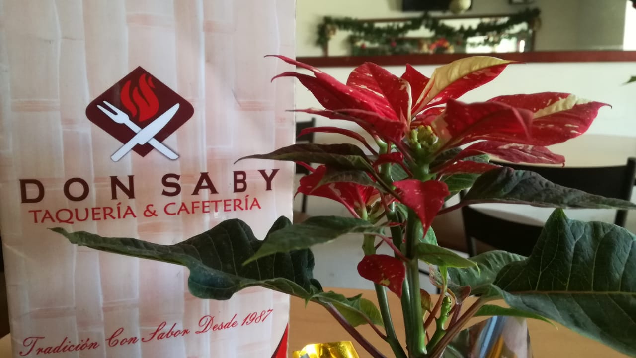 Taquería & Cafetería ''Don Saby'' image 5