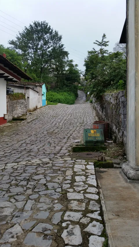 Chamaki image 4