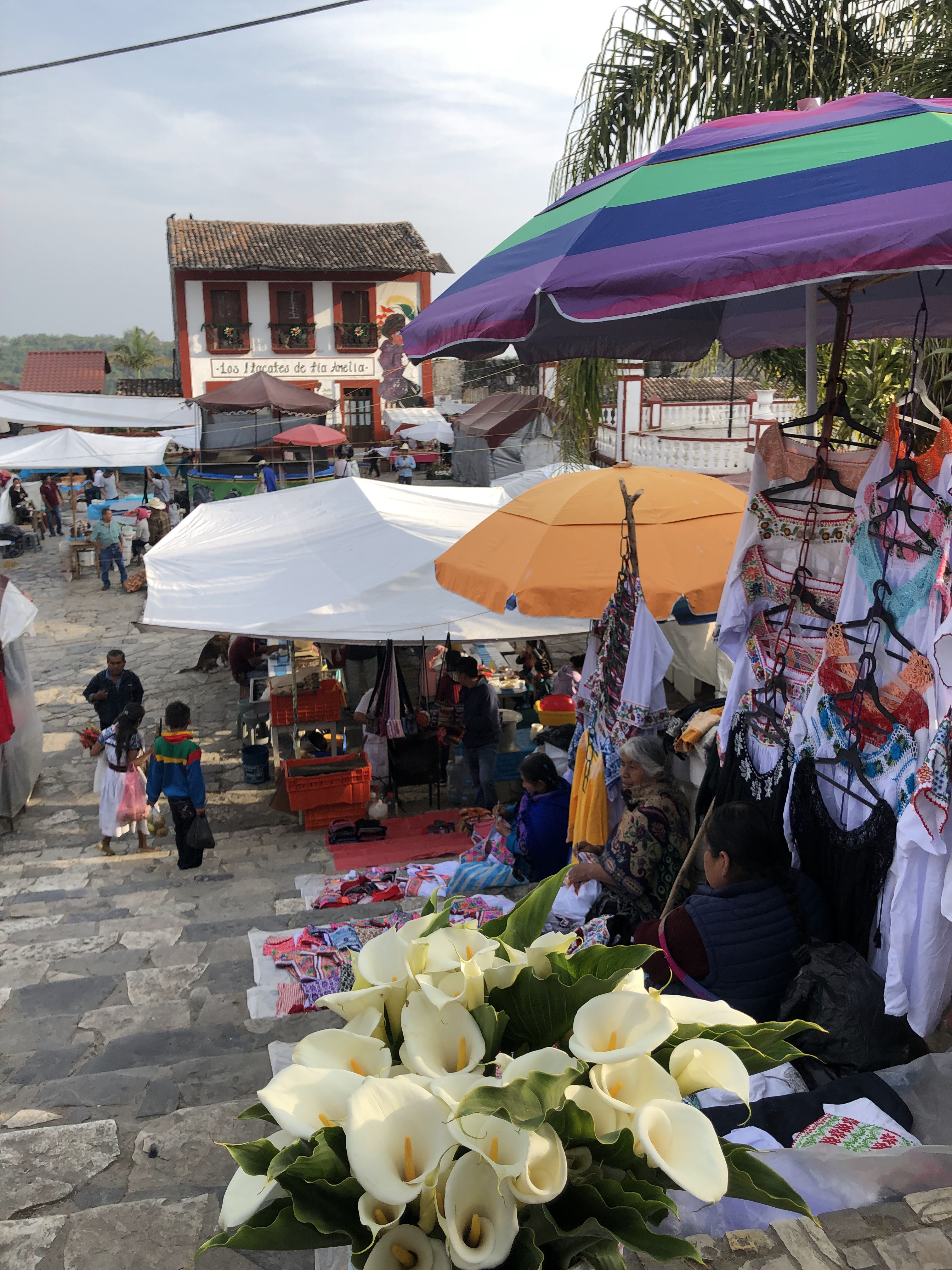 Cocina Tía Amelia image 9