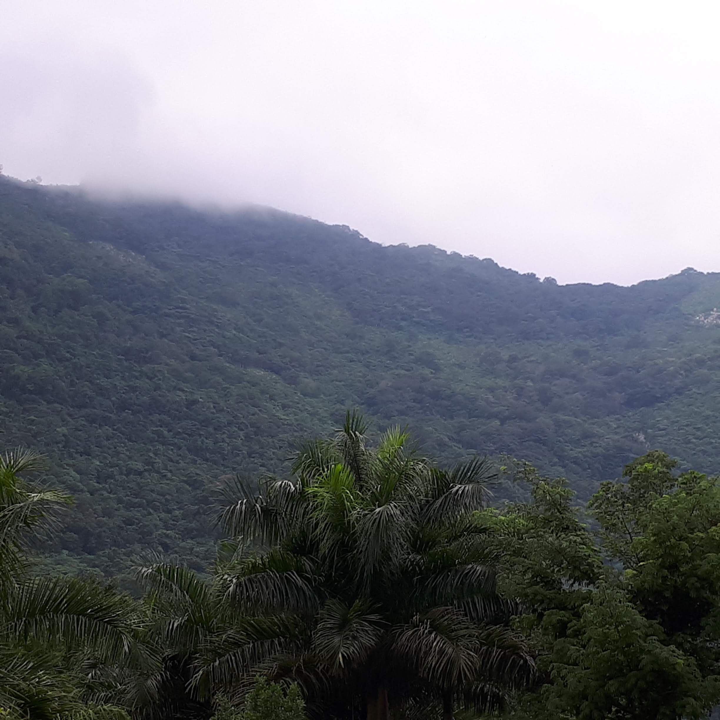 Neveria El Paraiso image 5