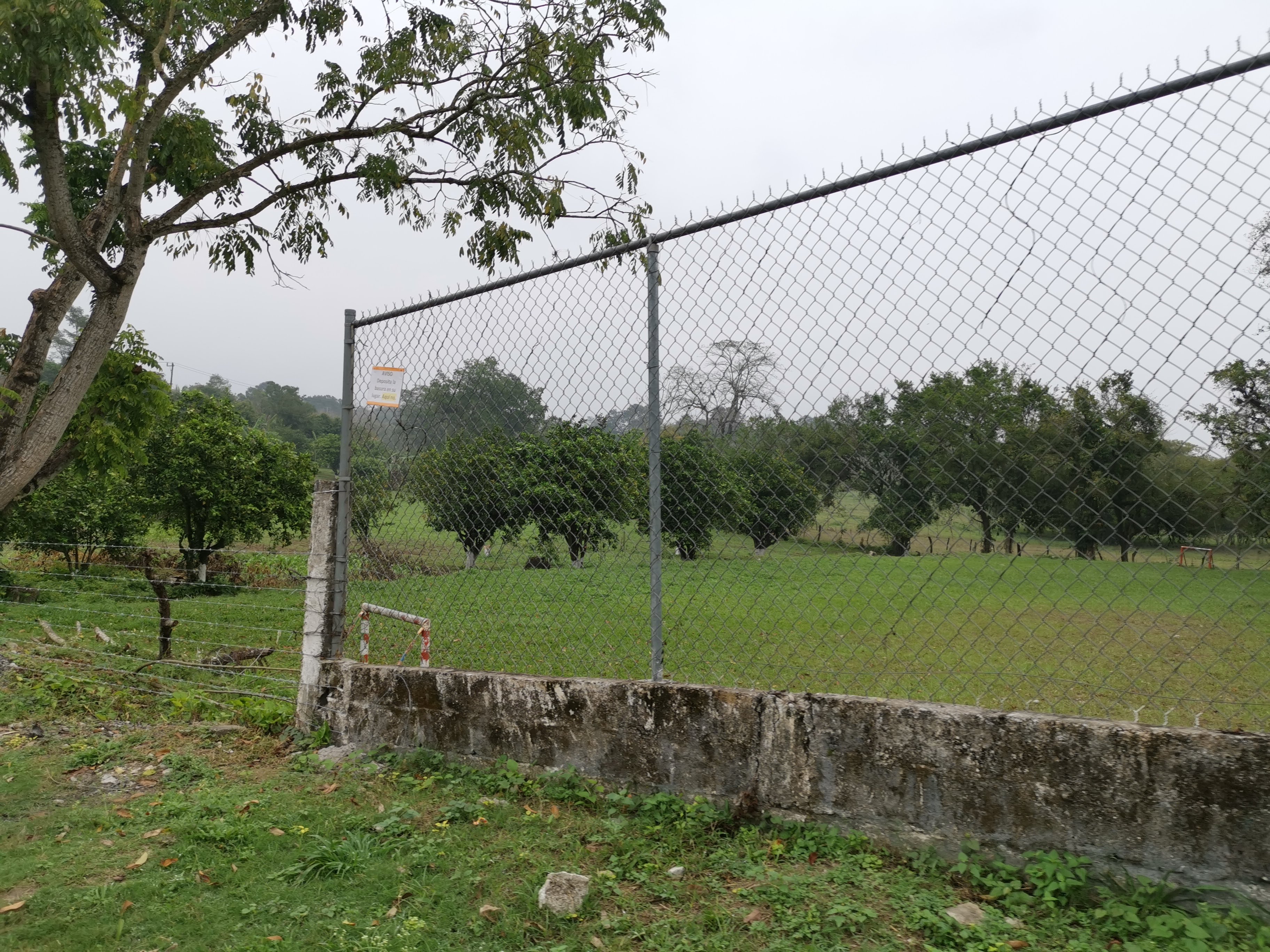 Neveria El Paraiso image 7