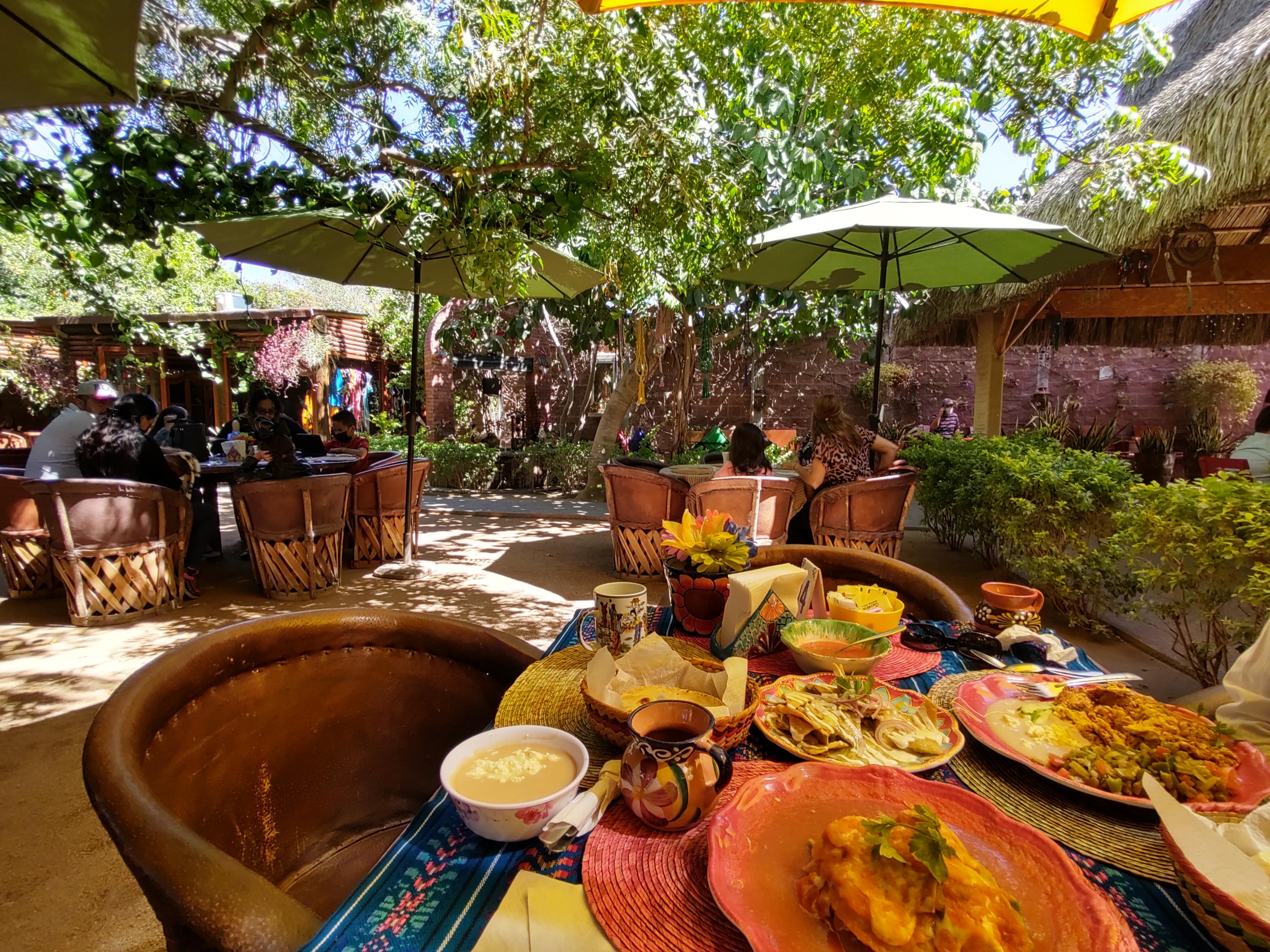 Campestre Colibri image 2