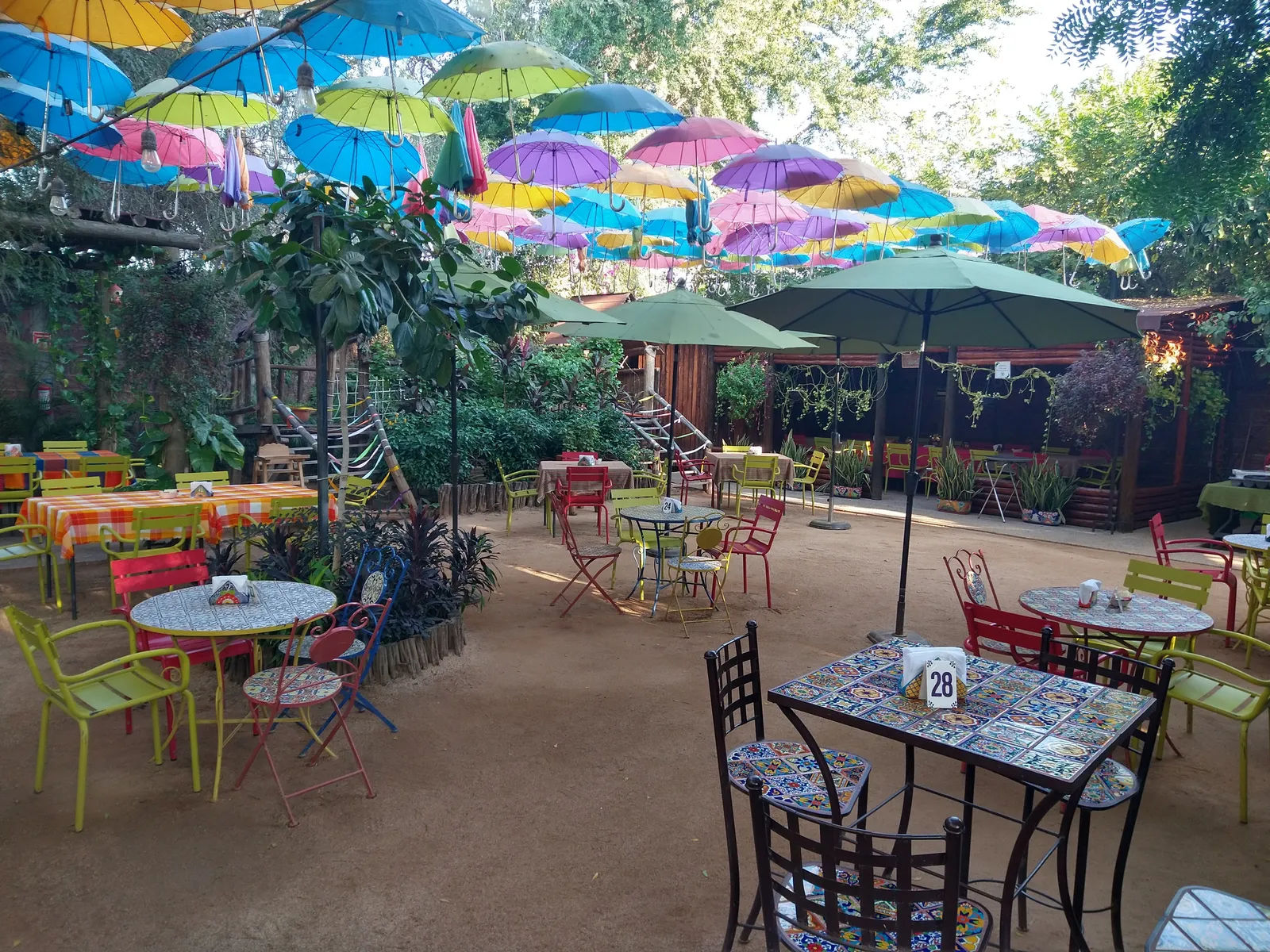 Campestre Colibri image 3