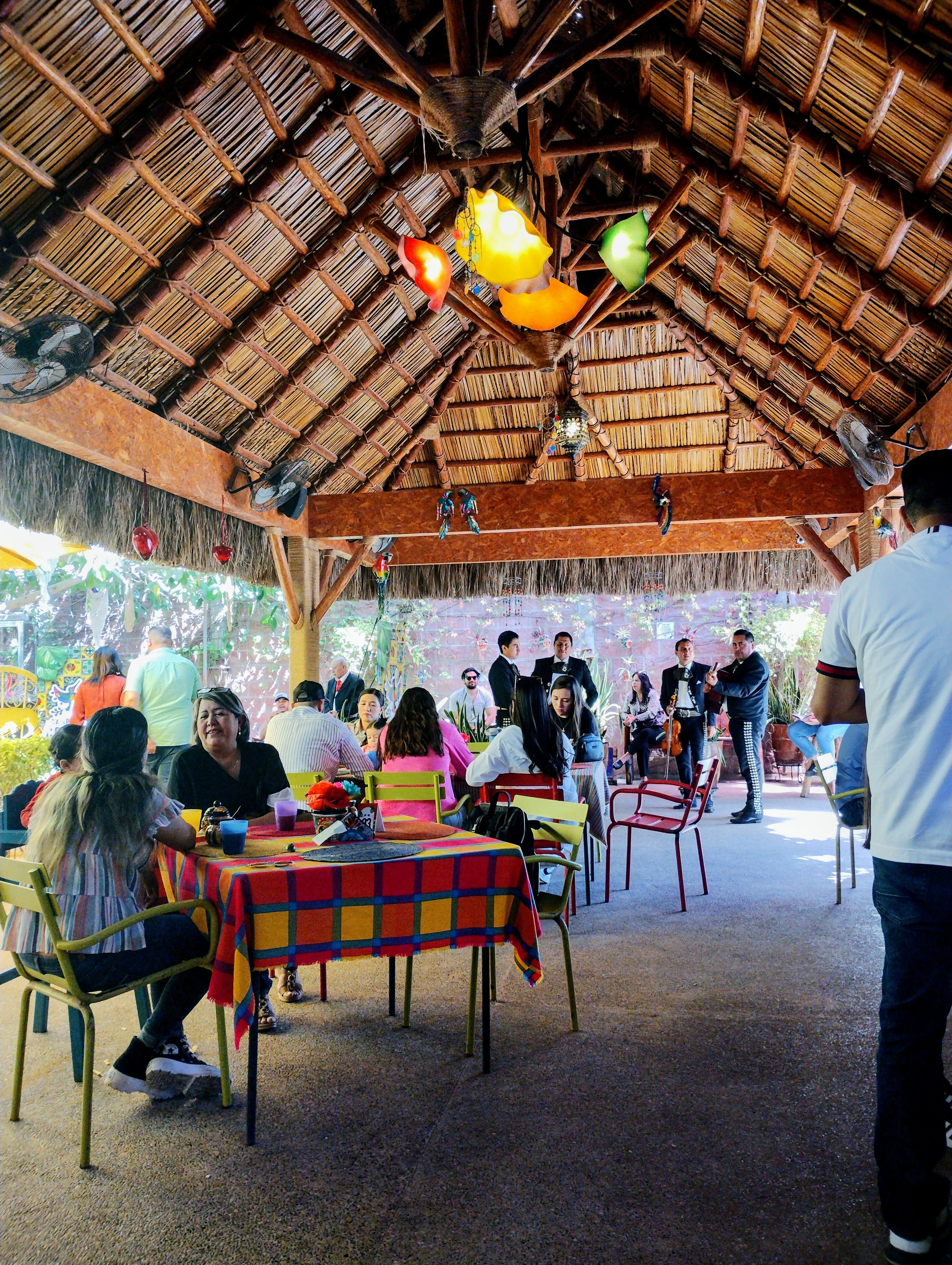 Campestre Colibri image 5