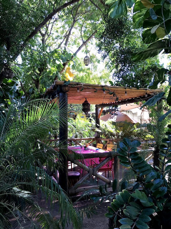 Campestre Colibri image 6