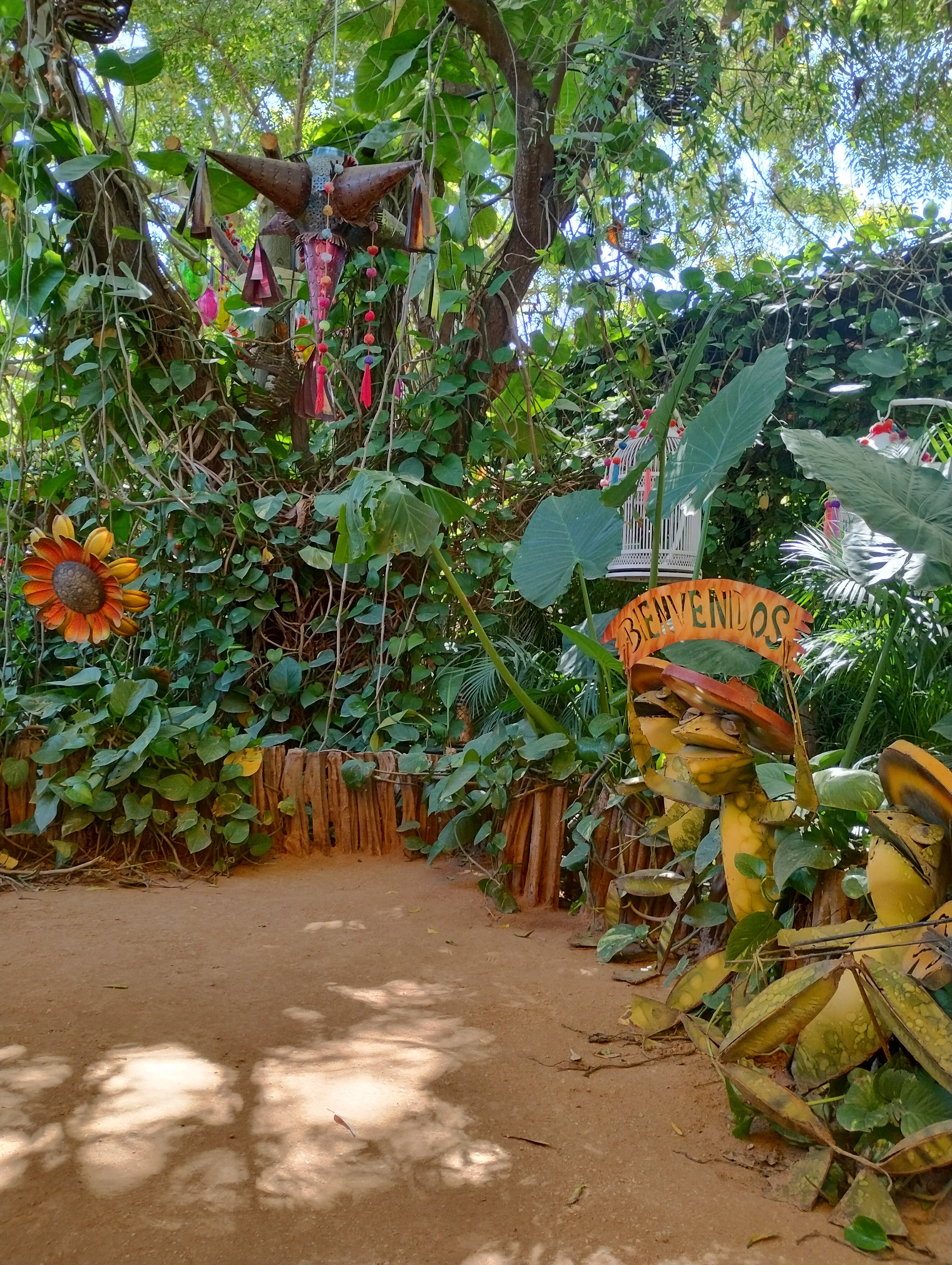 Campestre Colibri image 9