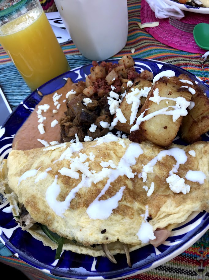 Campestre Colibri image 10