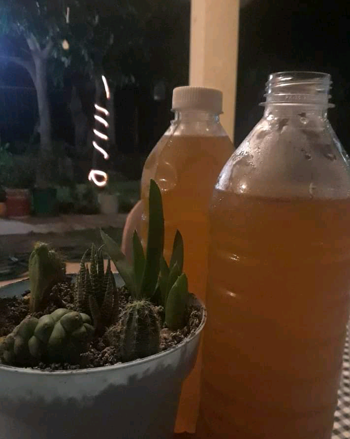 El Patio Boneless image 2