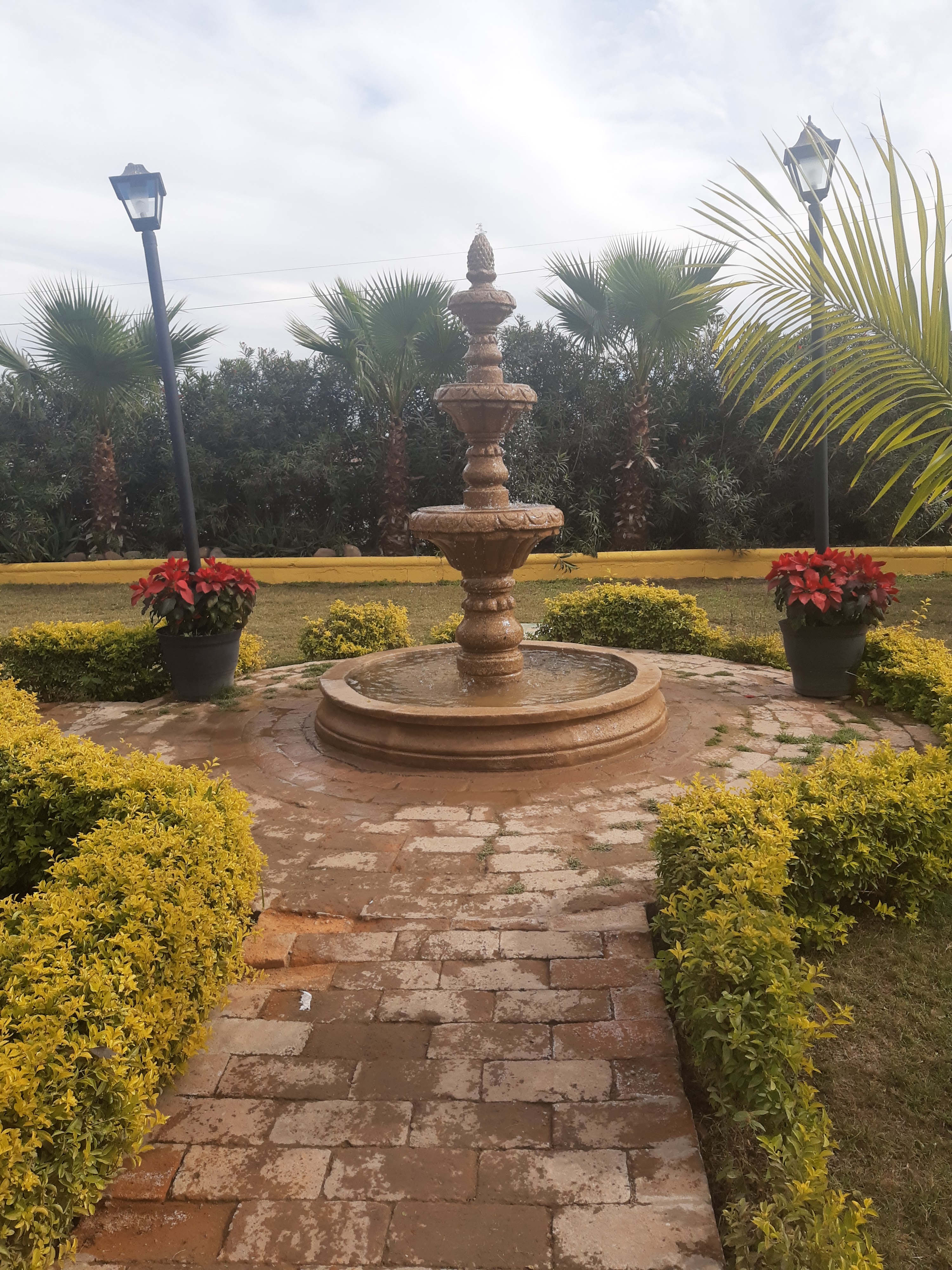 Linda Morena image 7