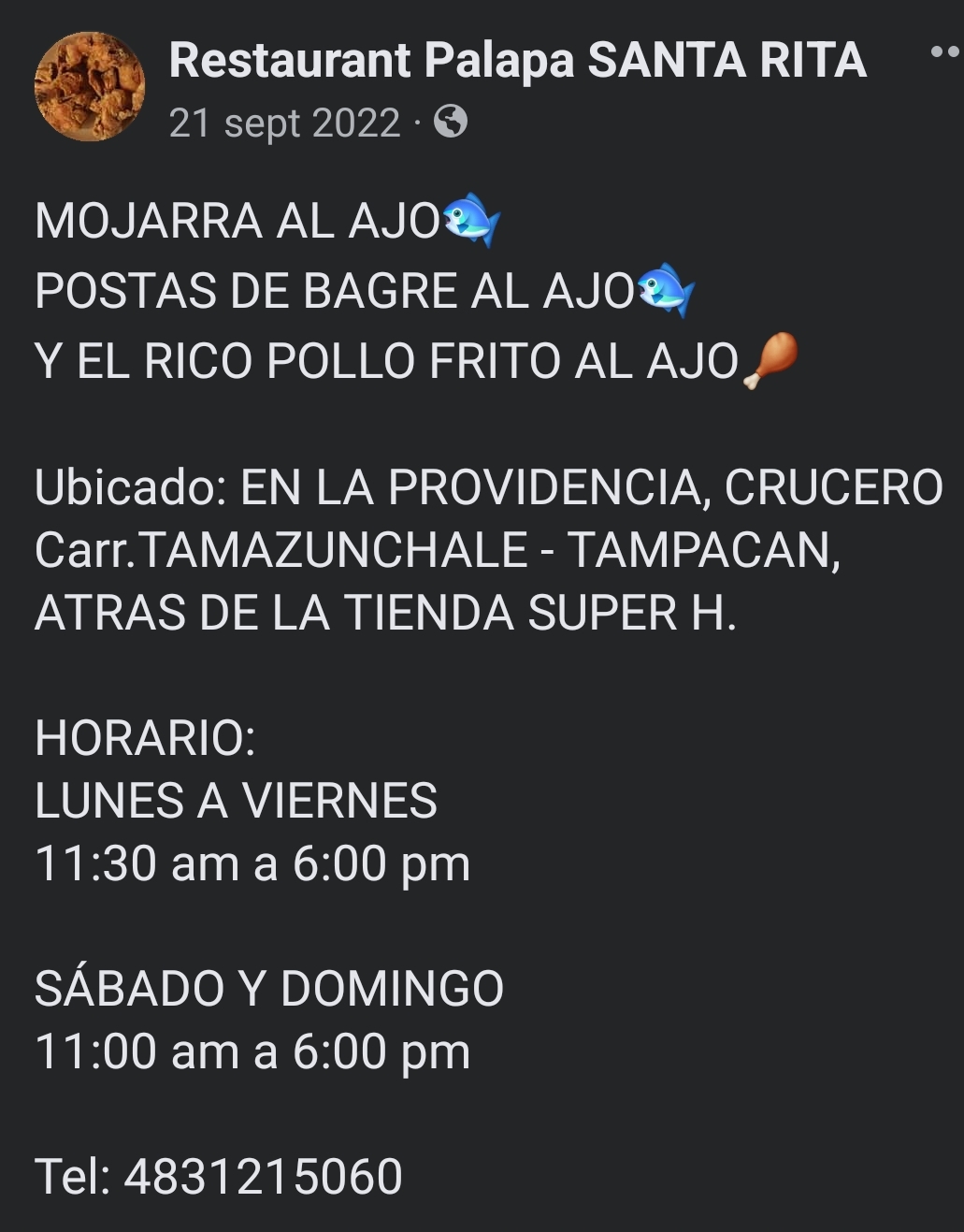 Restaurant PALAPA SANTA RITA image 6