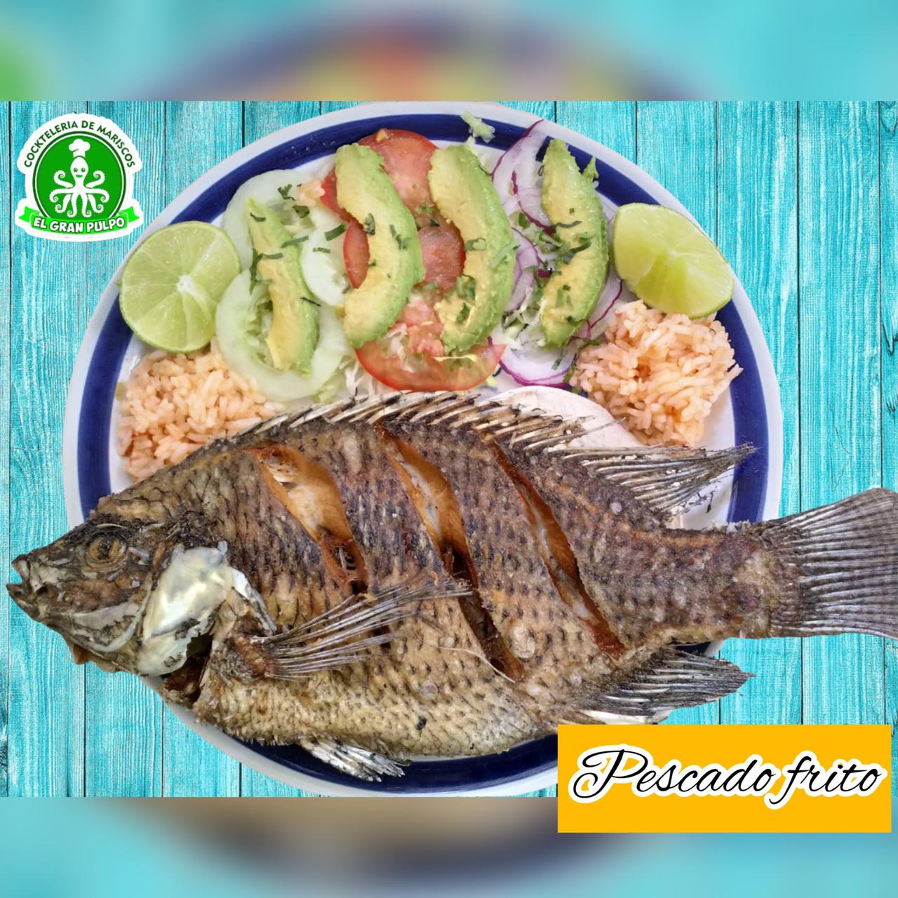 El Gran Pulpo Tacotalpa image 9