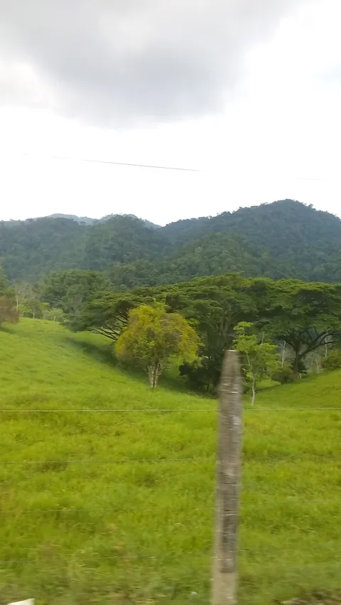 La Mojarra image 6