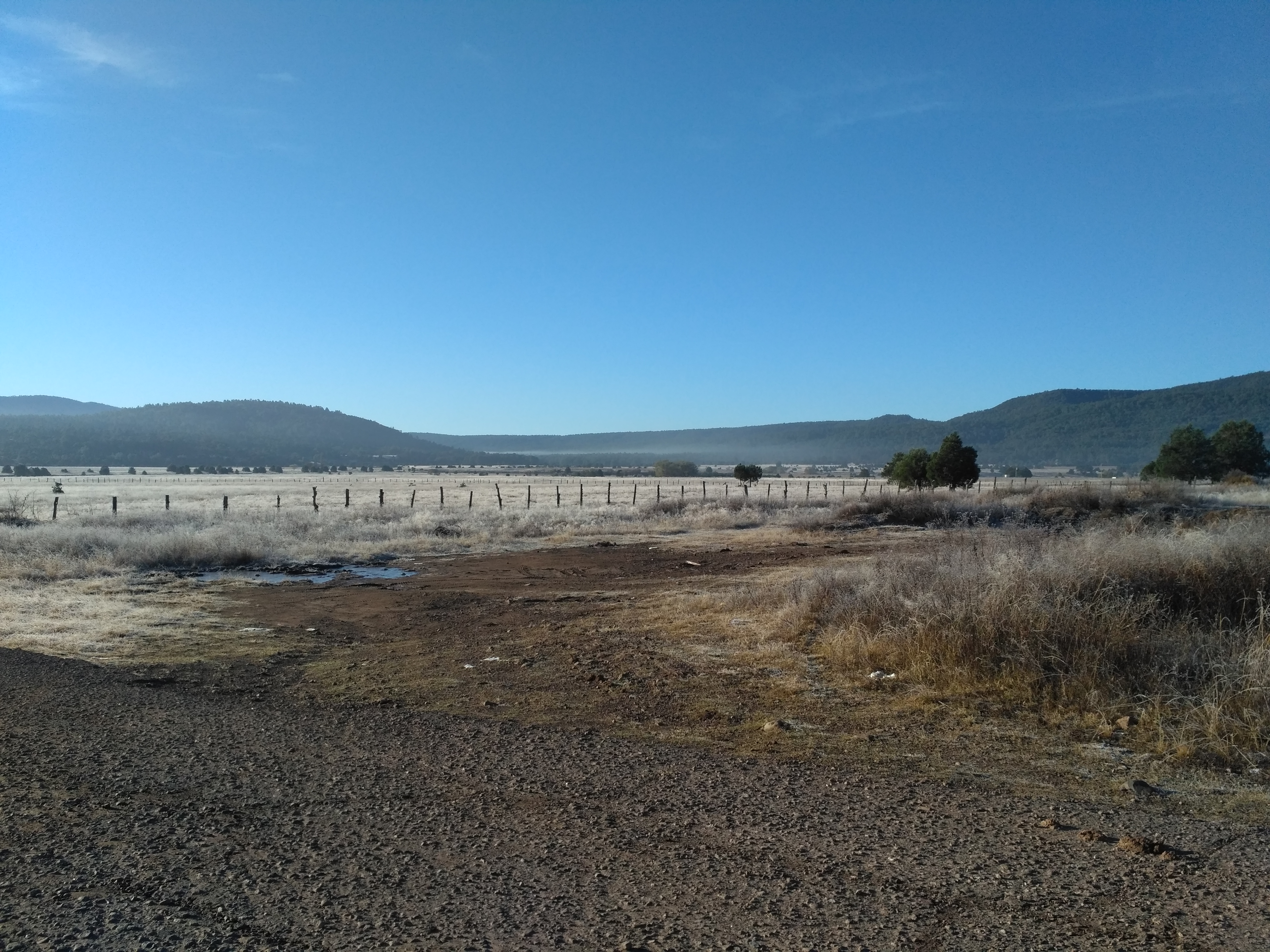 Restaurant Lore image 4