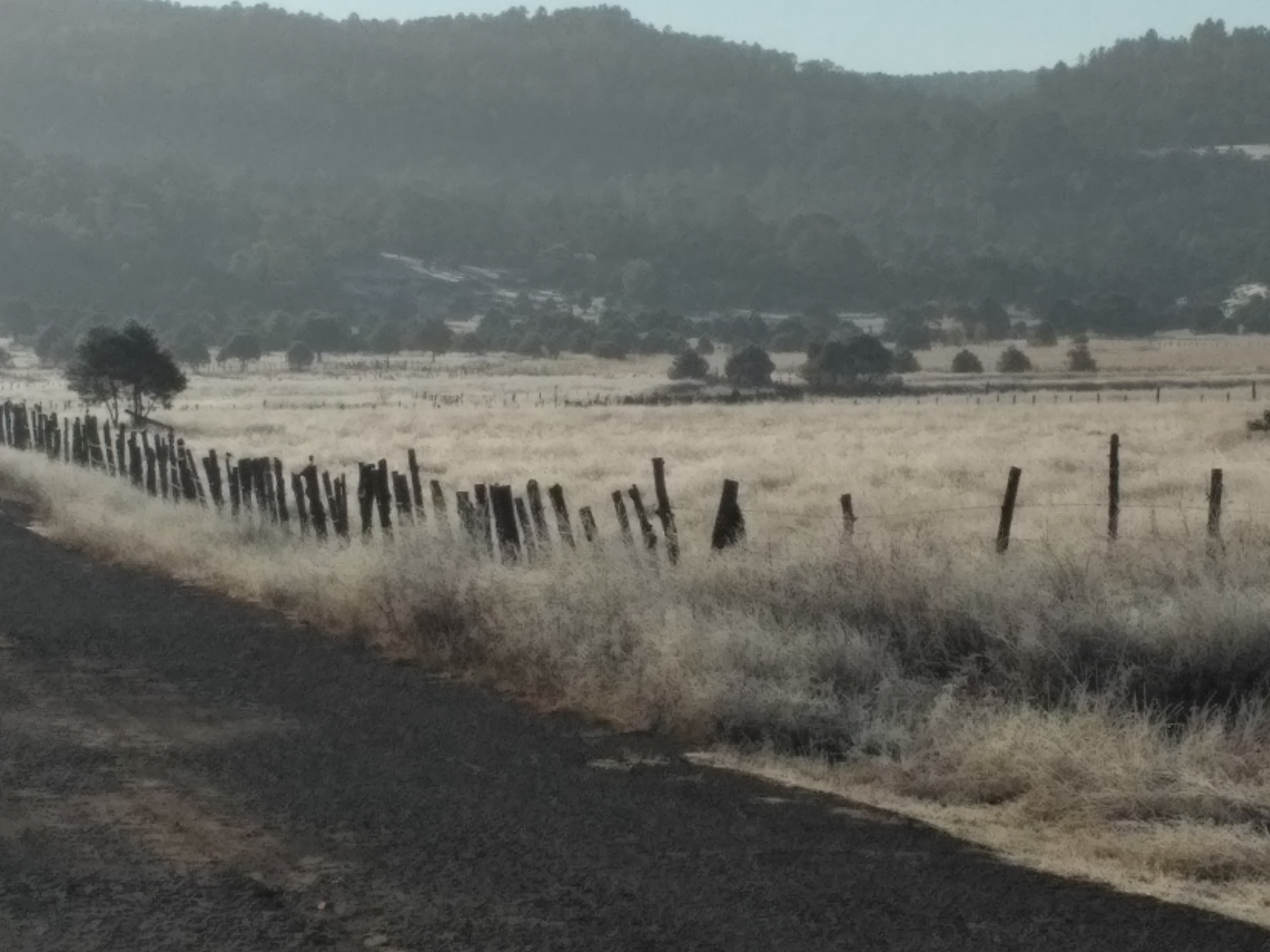 Restaurant Lore image 5