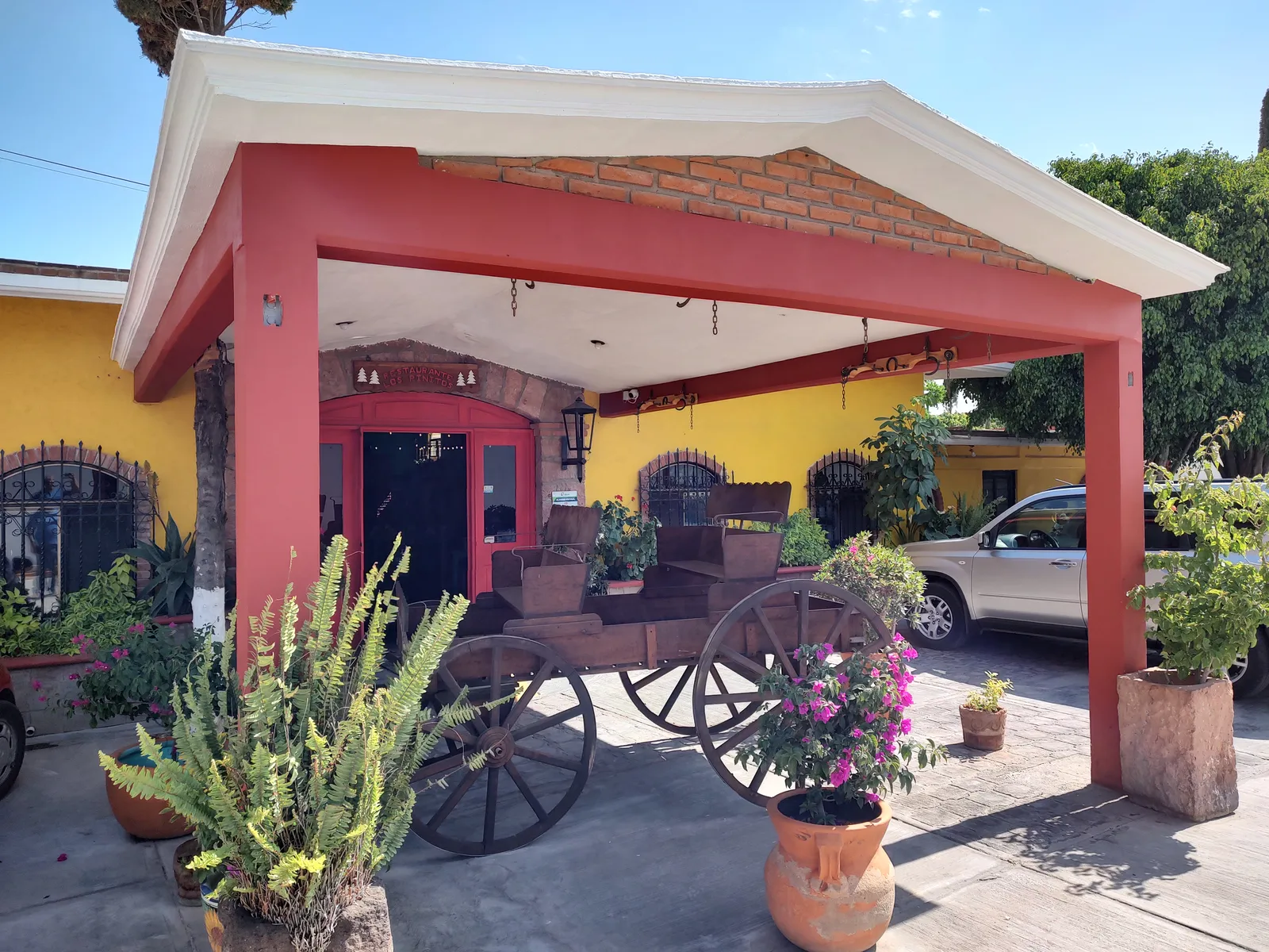 Los pinitos image 10