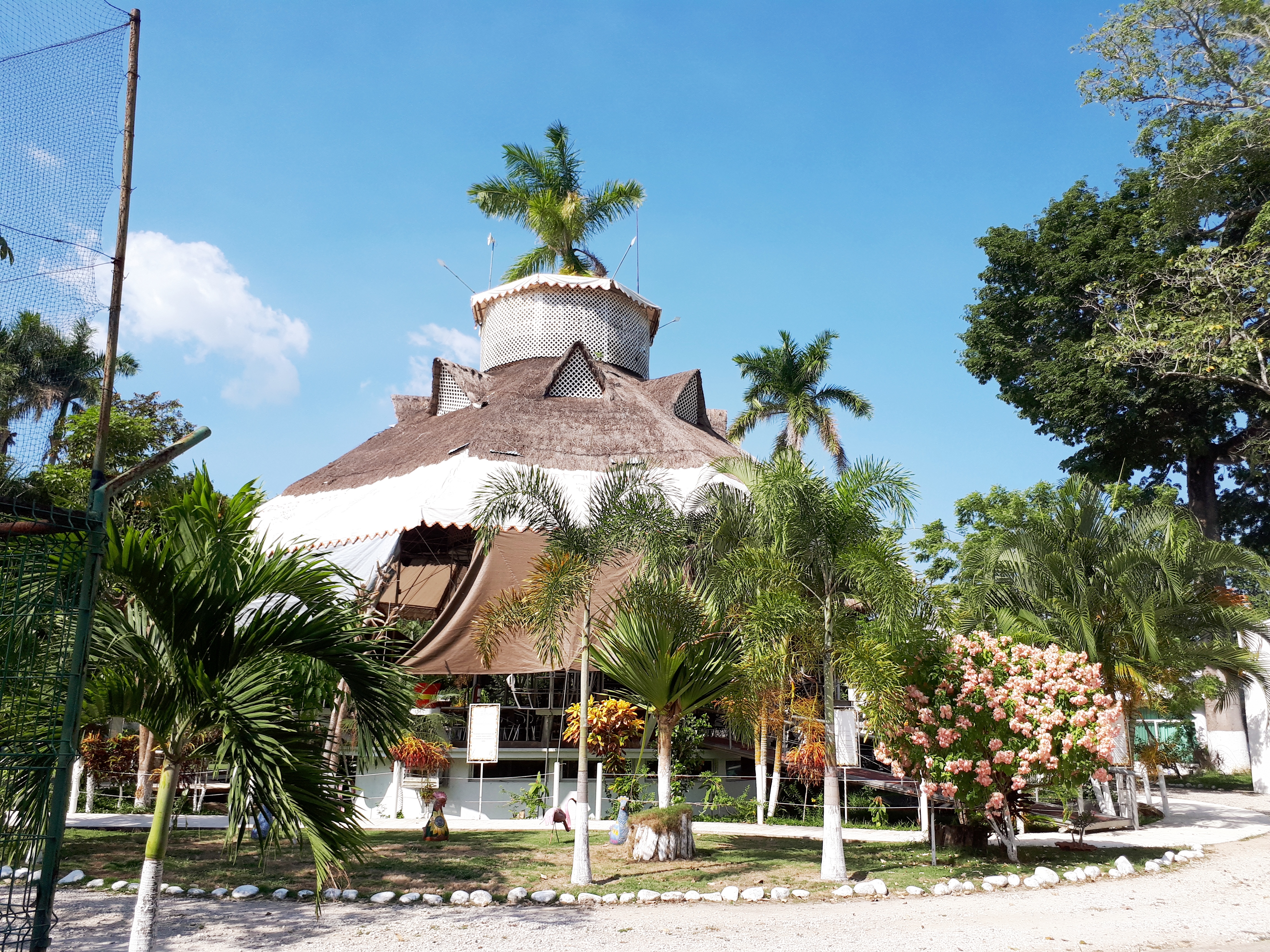 Los 4 Acuerdos, Cocina Contemporánea image 4