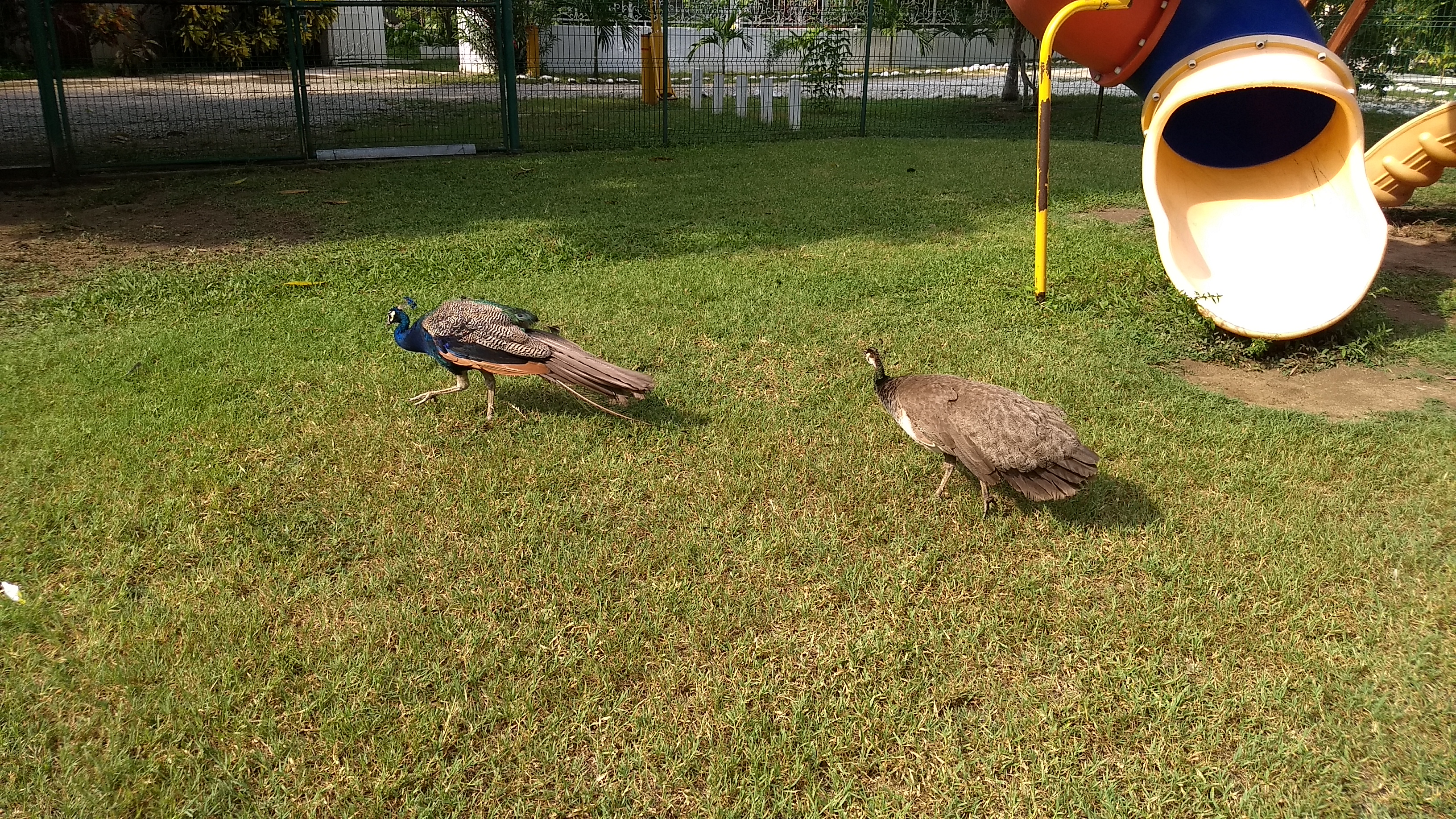 Los 4 Acuerdos, Cocina Contemporánea image 6