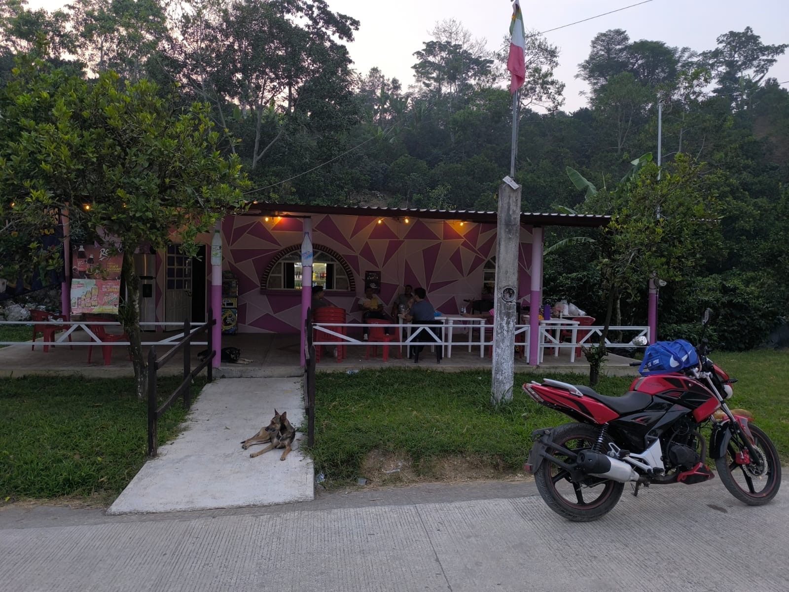 CAMPESTRE EL GUAYABAL image 4