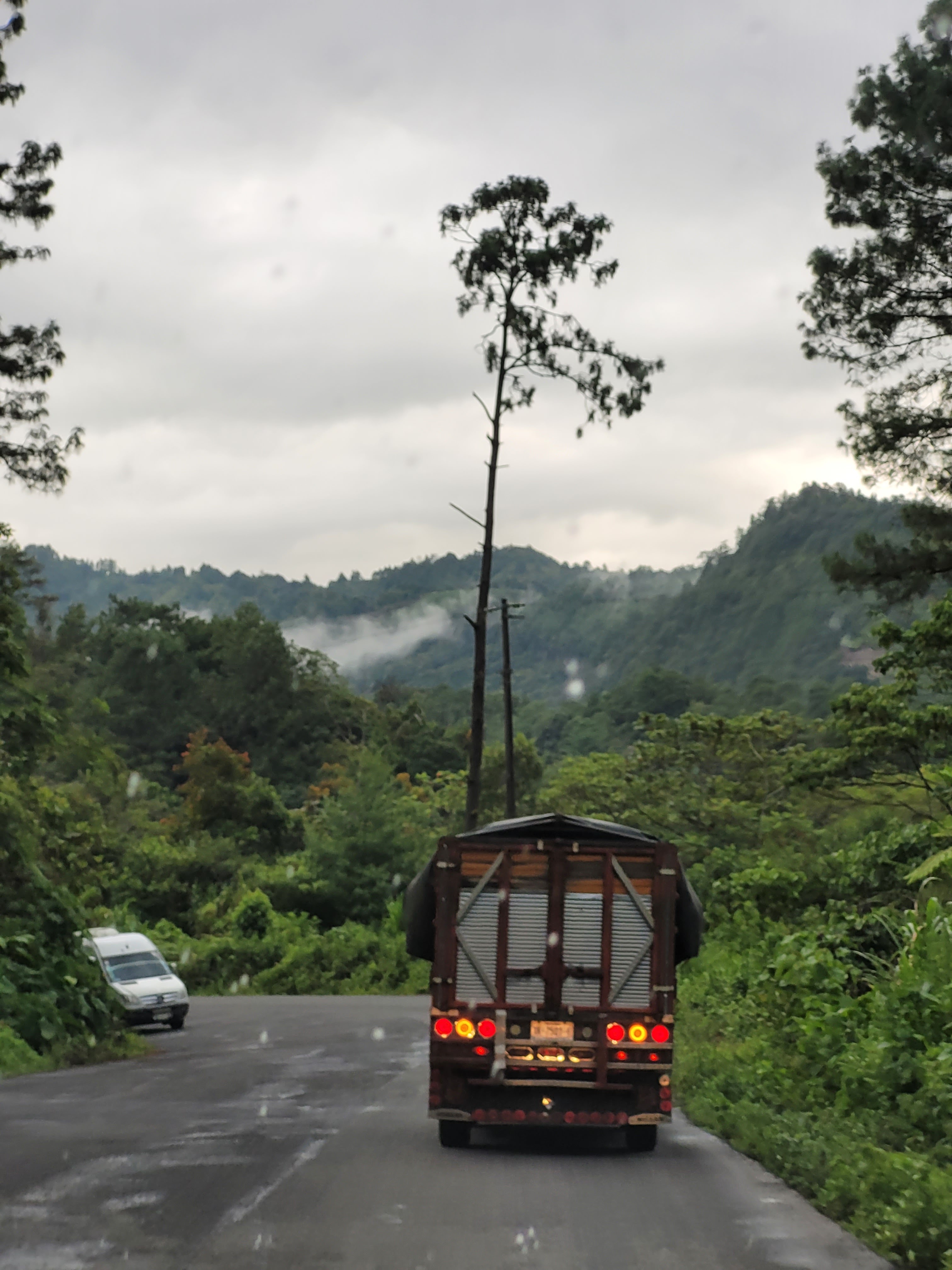 Restaurante de Truchas La Calavera image 4