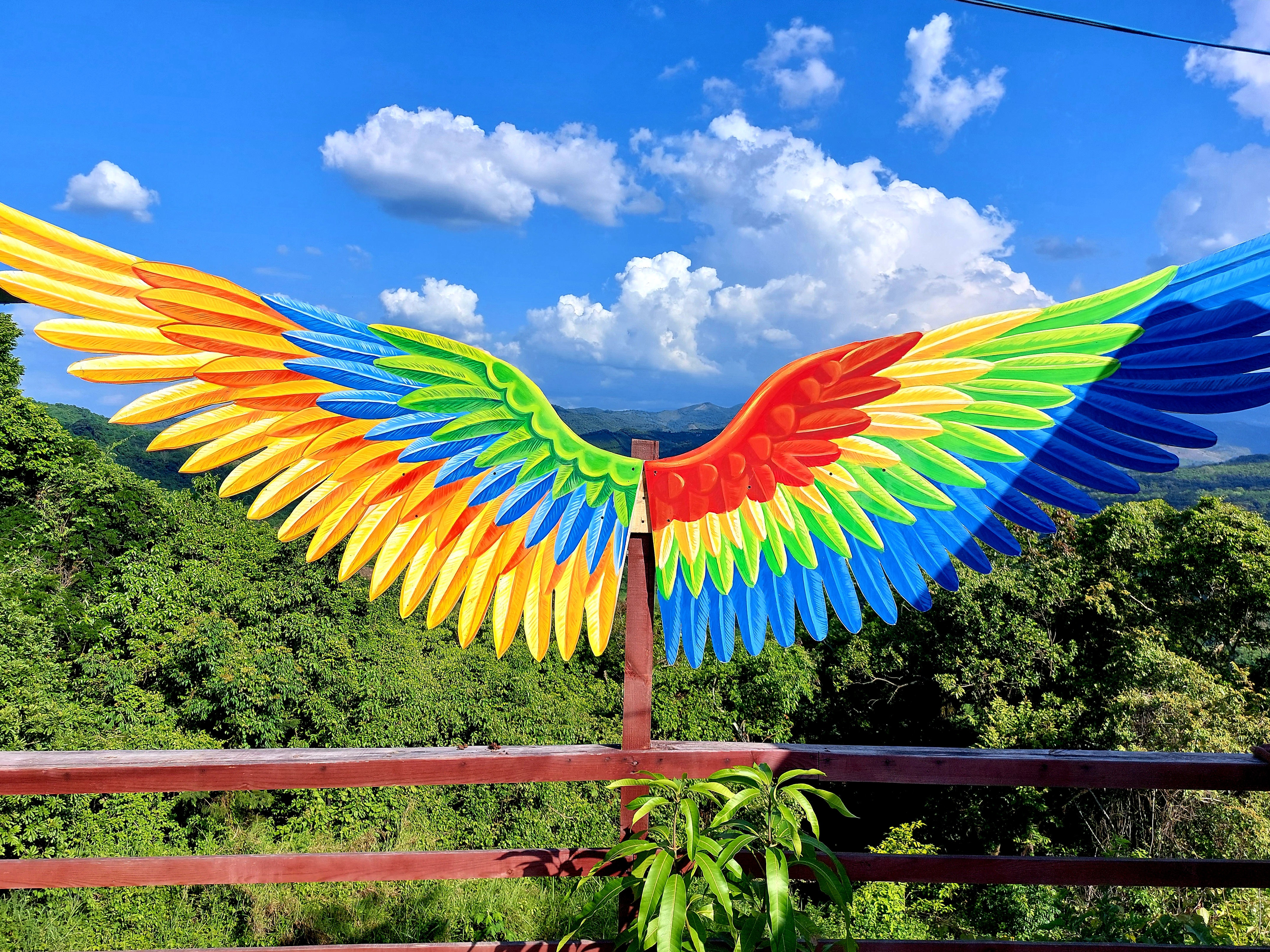 Mirador Huasteco image 4