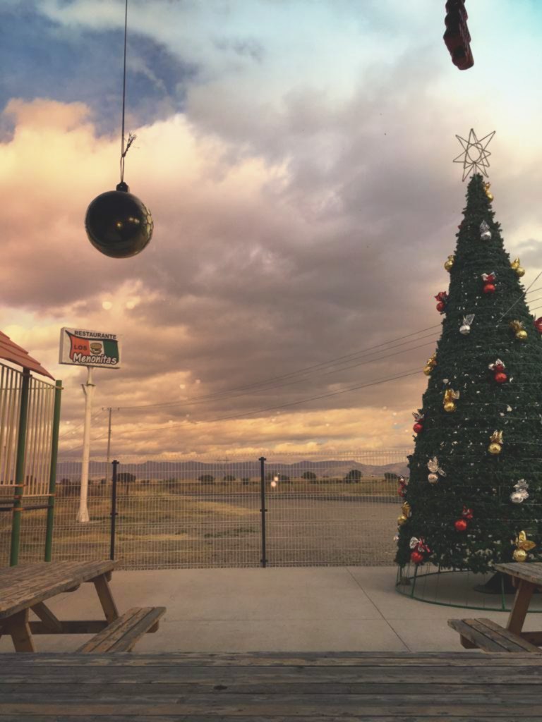 Loncheria "Los Menonitas" image 10