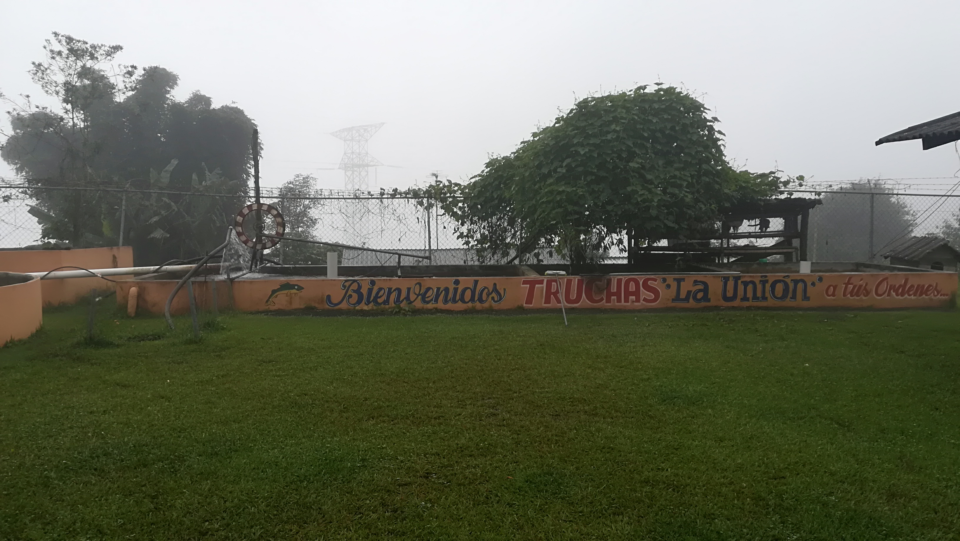 Truchas La Unión image 5