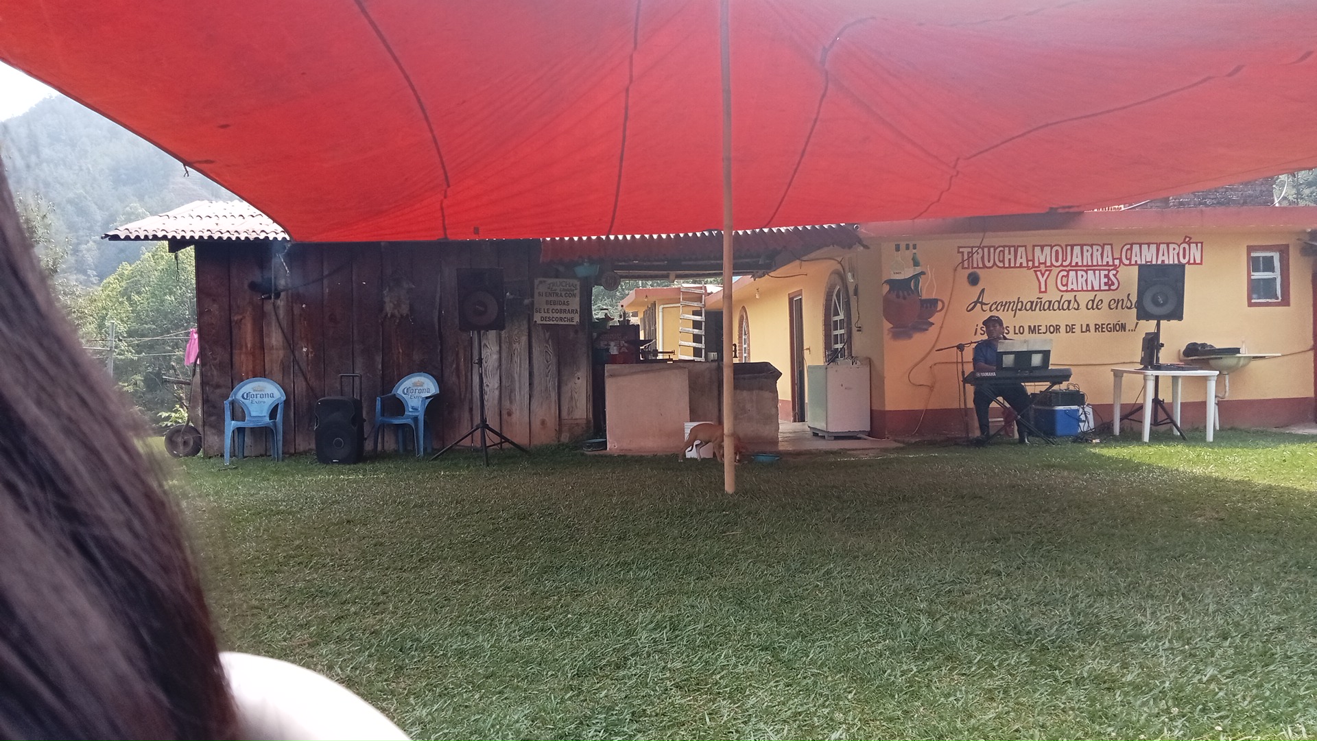 Truchas La Unión image 7