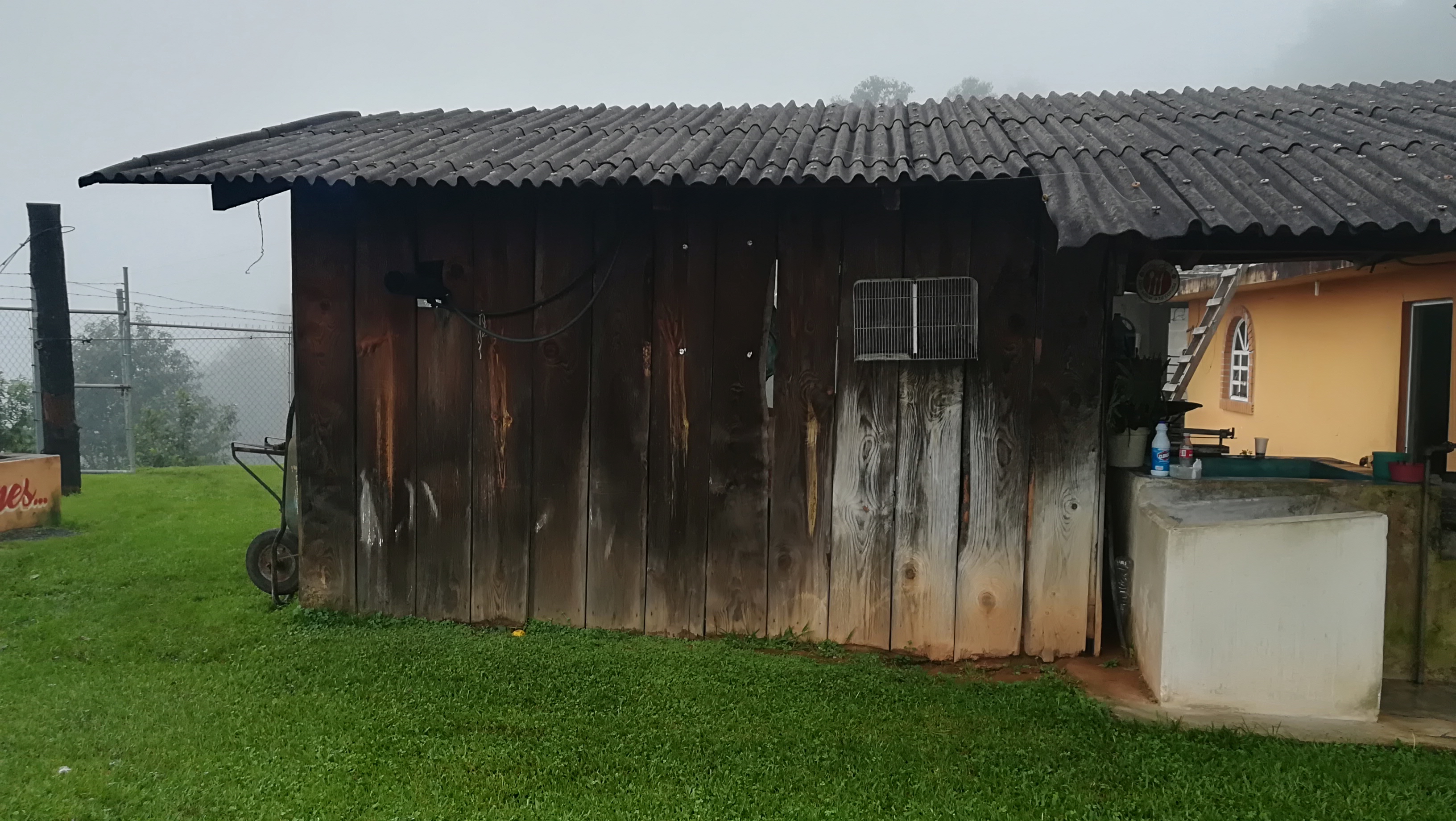 Truchas La Unión image 10