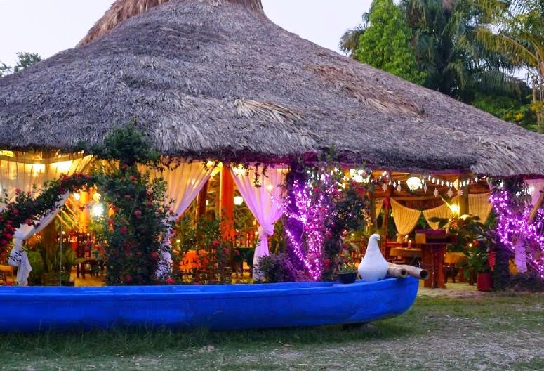 La Chiapaneca image 3