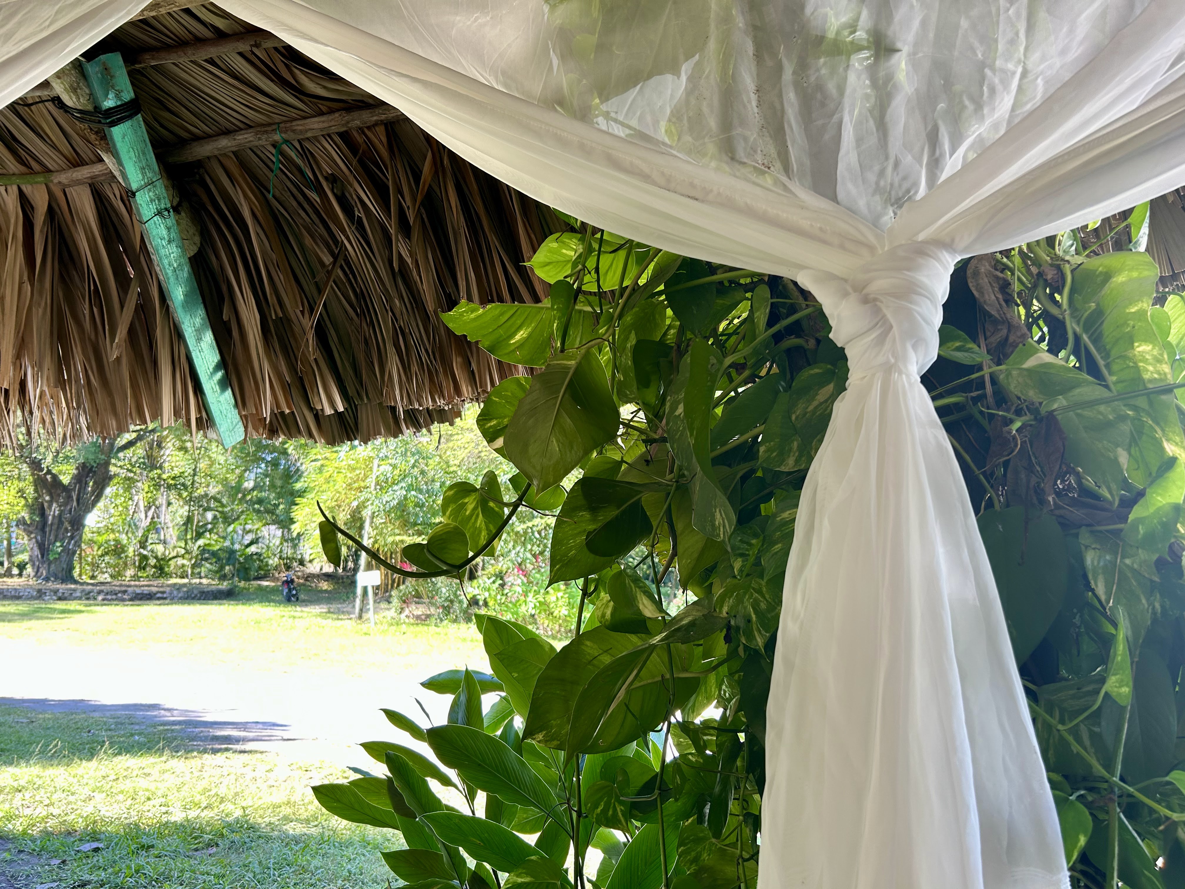 La Chiapaneca image 7