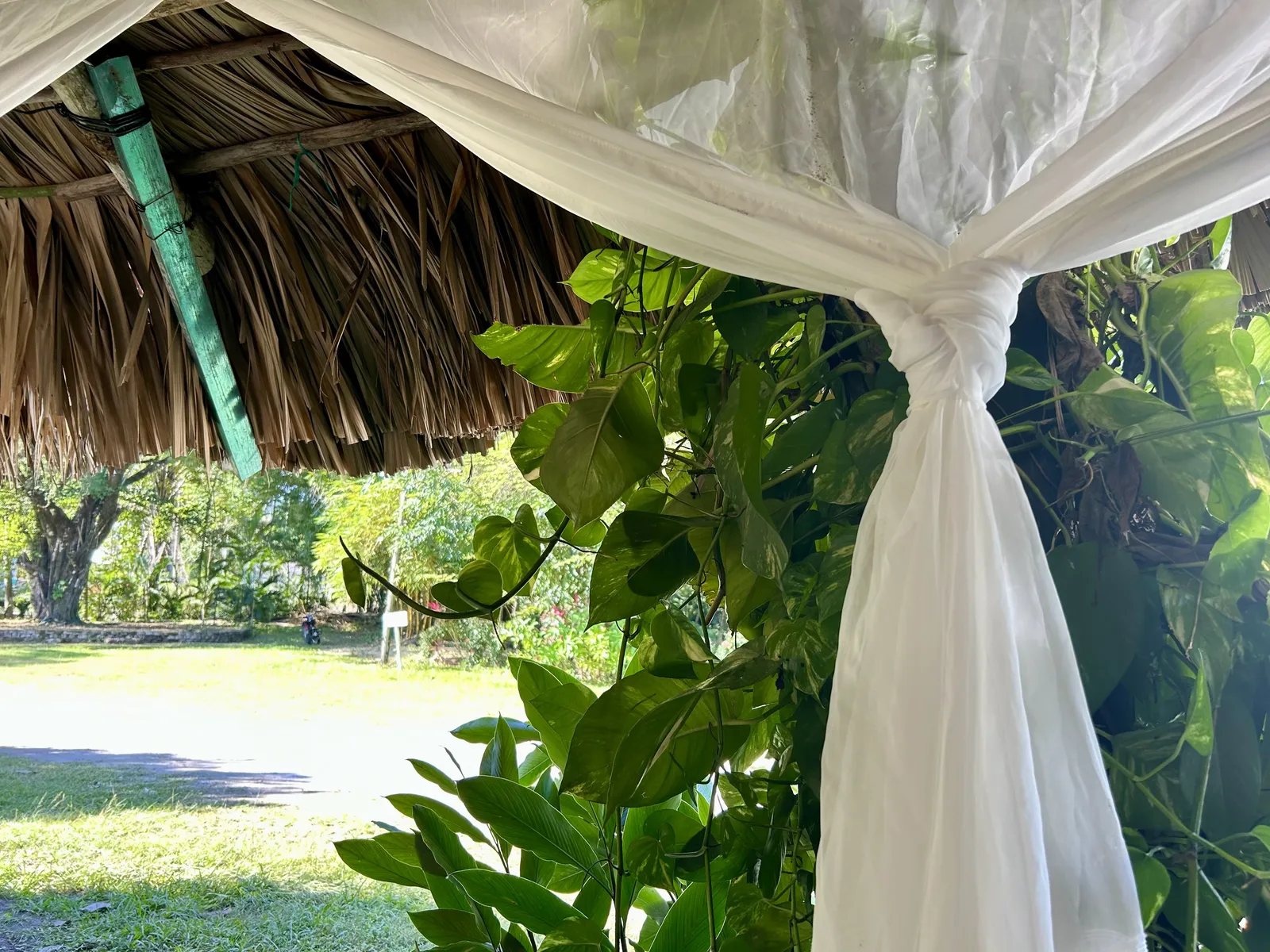 La Chiapaneca image 7