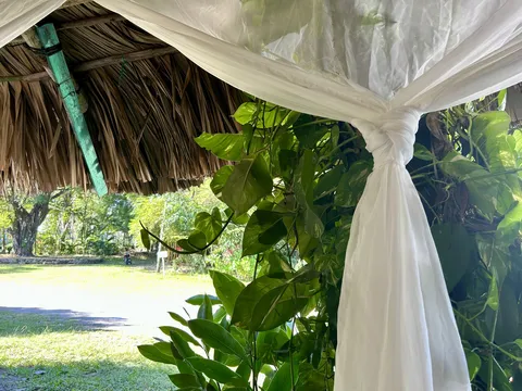 La Chiapaneca image 7