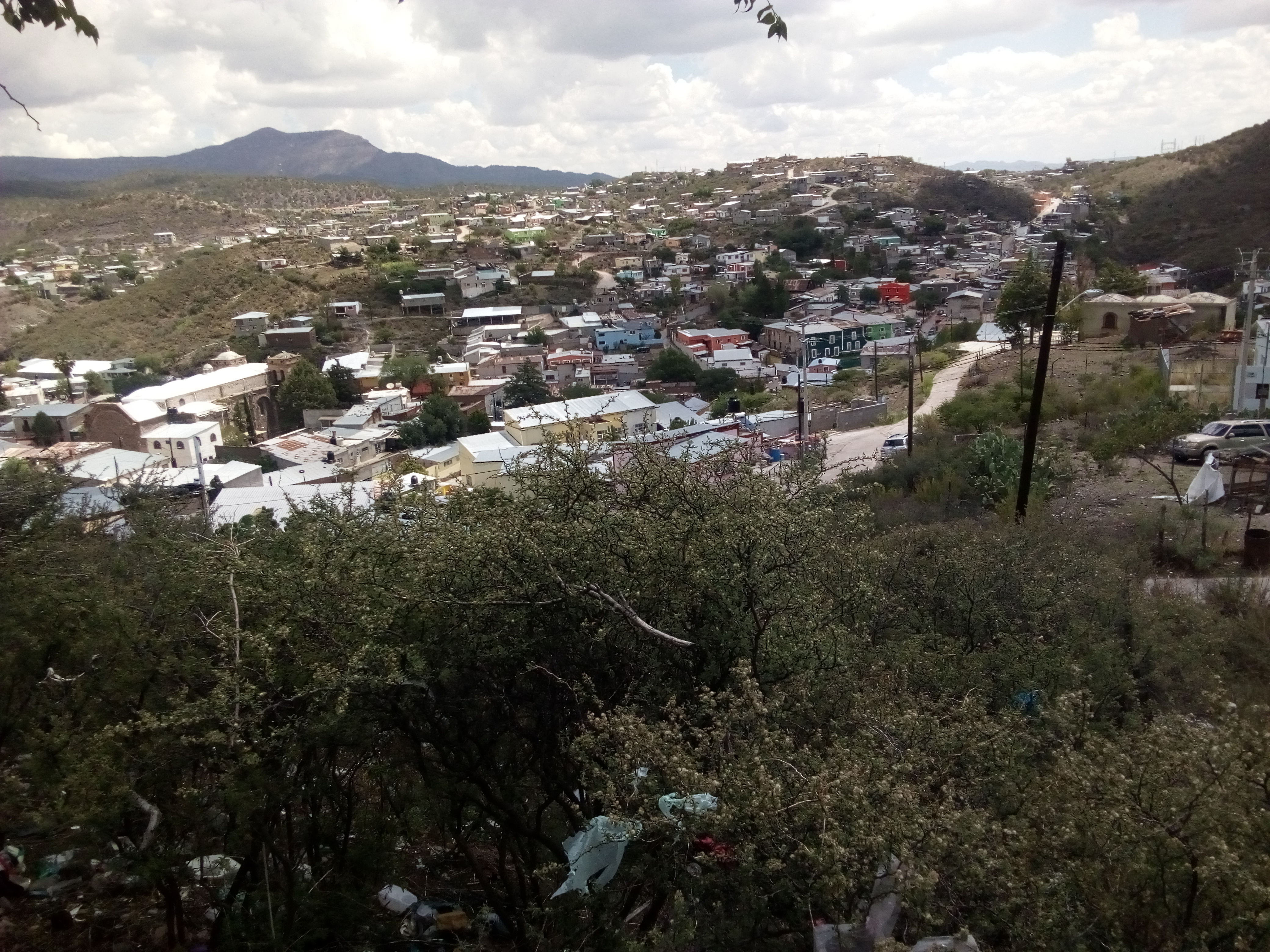 Burritos y Gorditas image 1