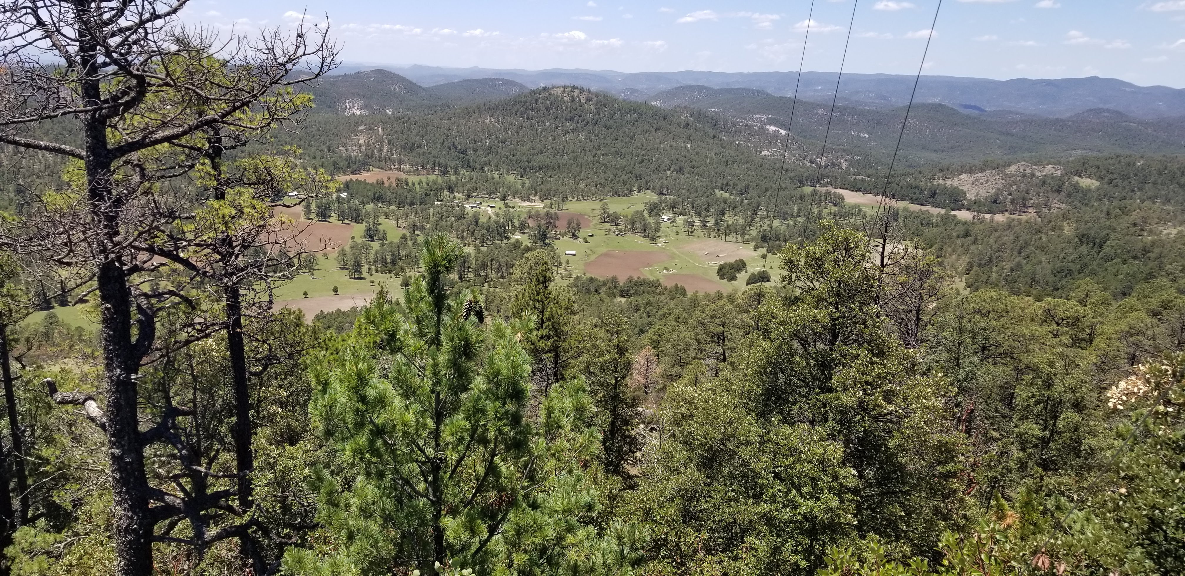 Burritos y Gorditas image 2