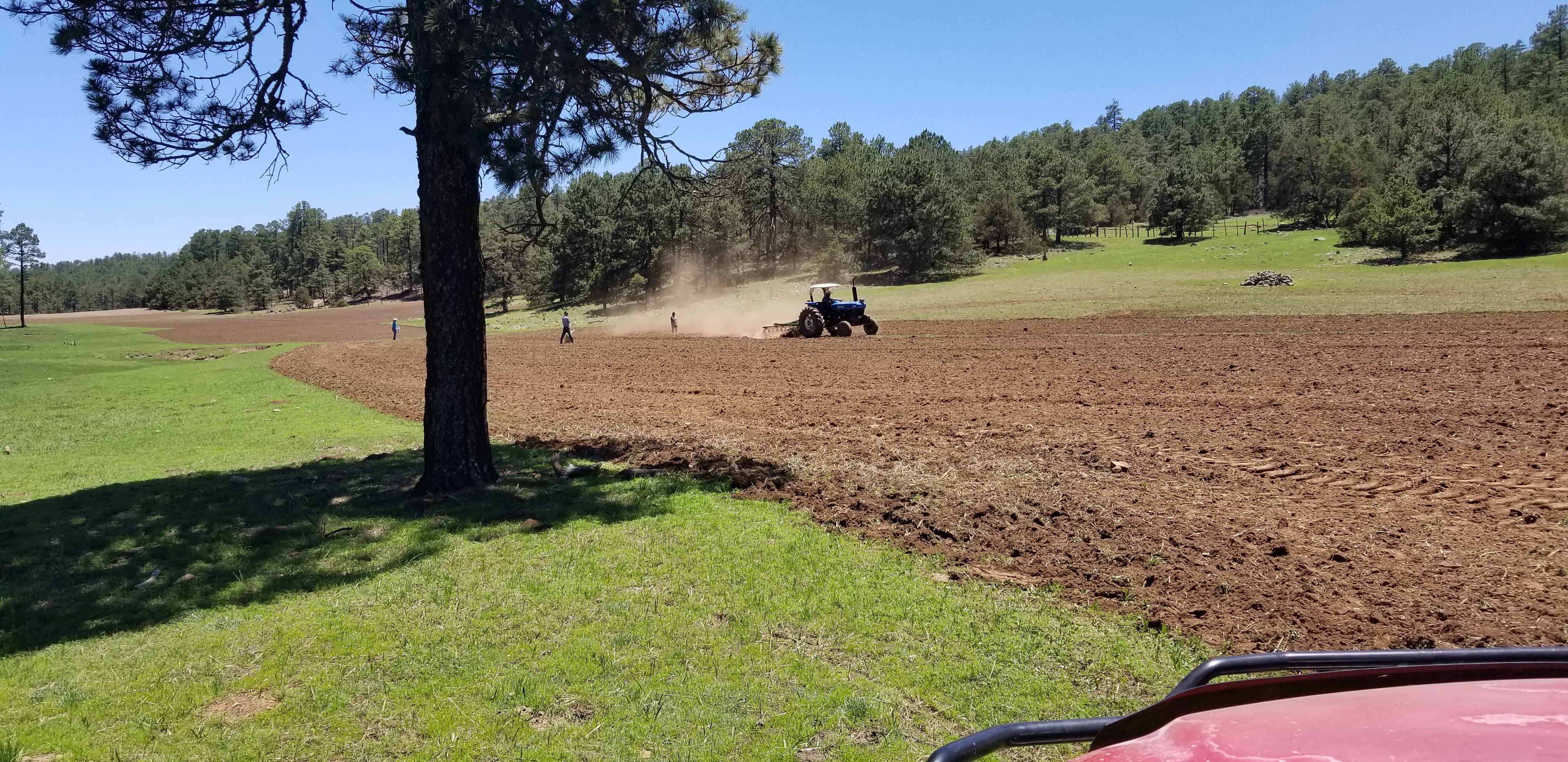 Burritos y Gorditas image 3