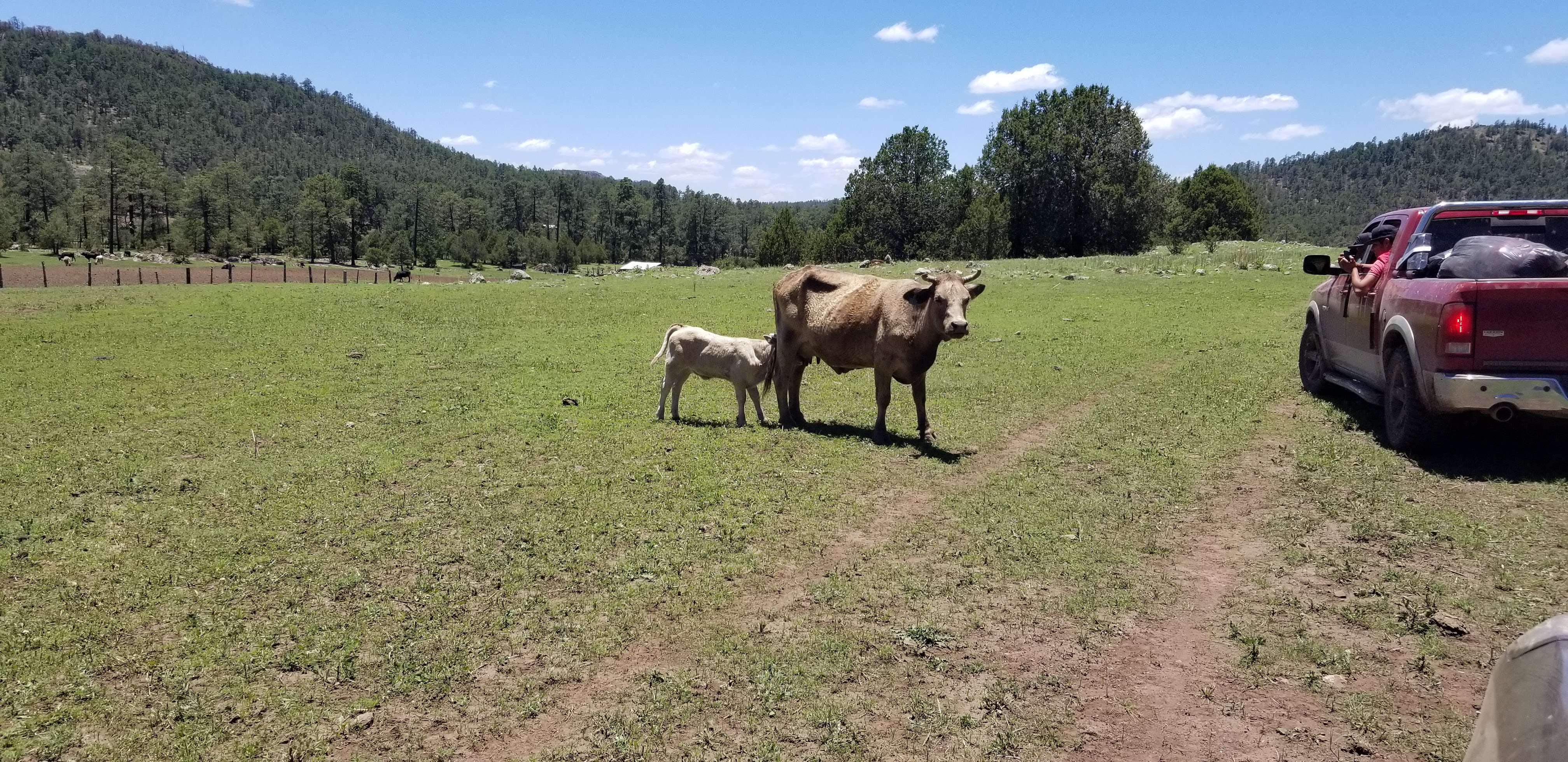 Burritos y Gorditas image 4