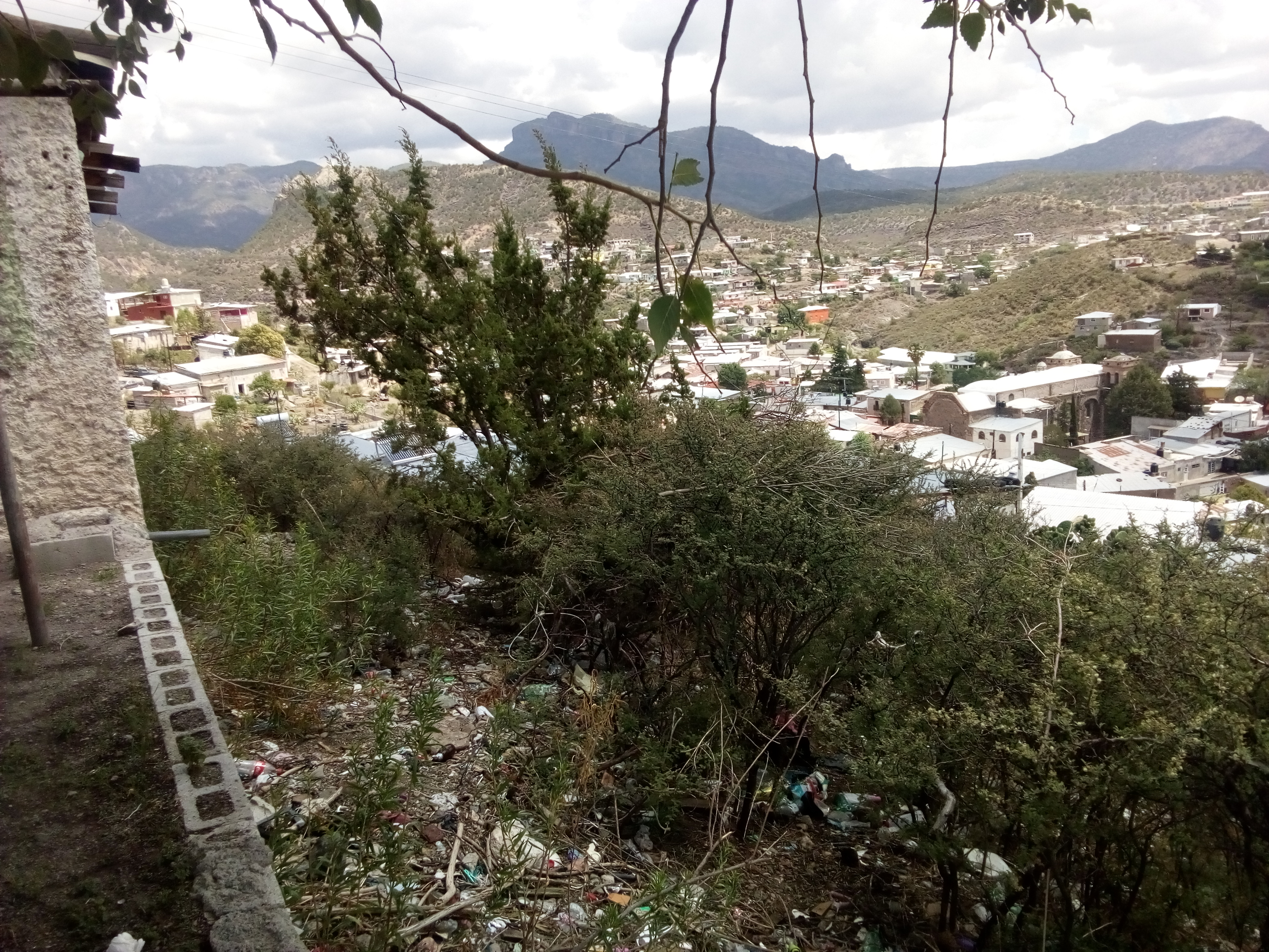 Burritos y Gorditas image 8