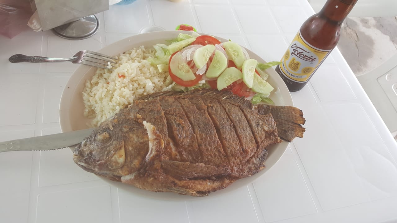 Mariscos playa azul león gto image 4