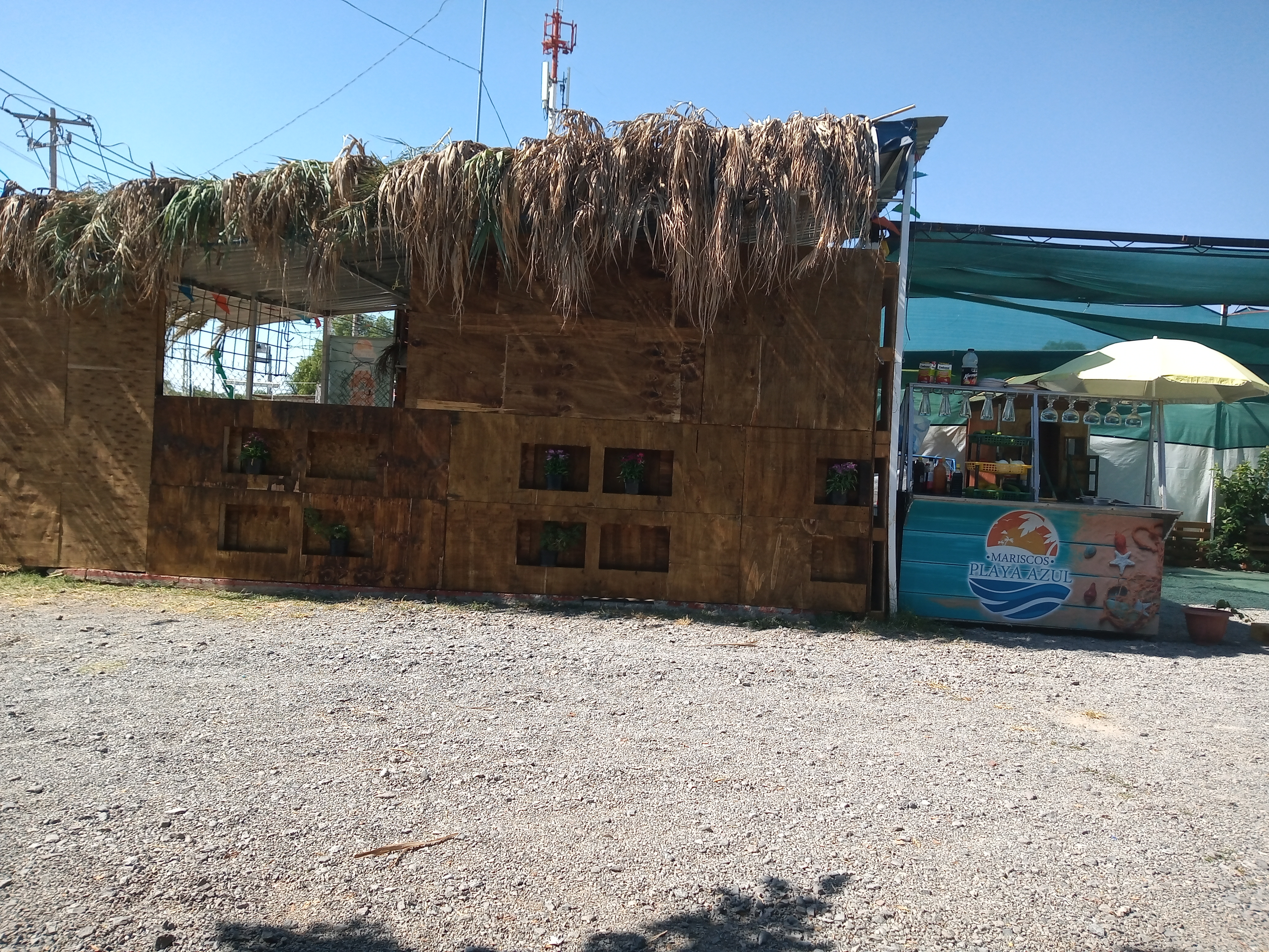 Mariscos playa azul león gto image 9