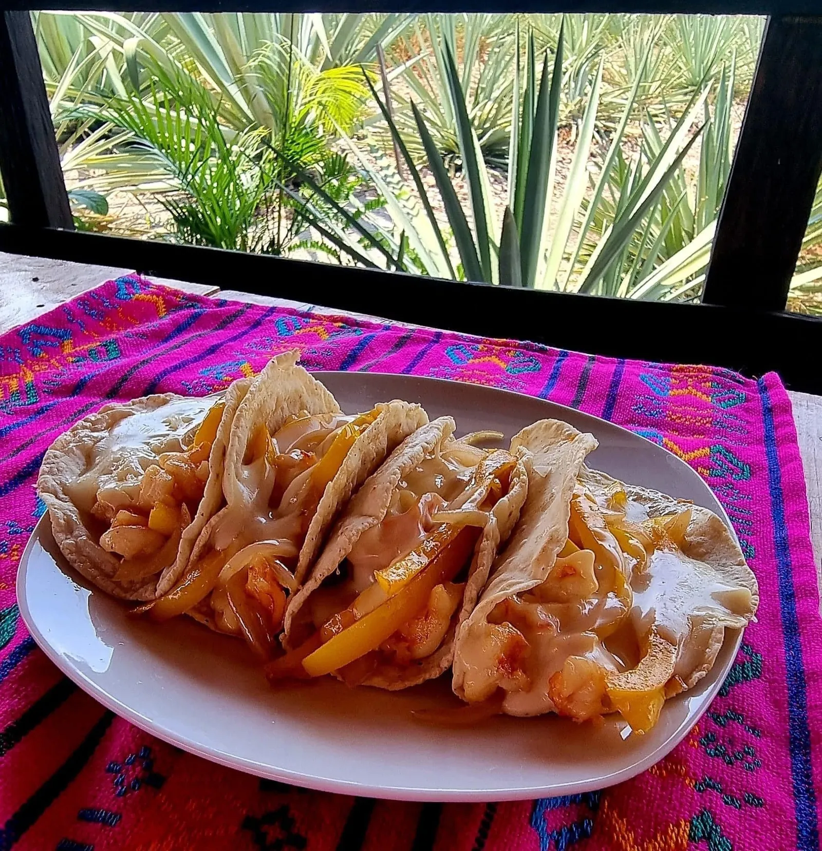Los Agaves image 2